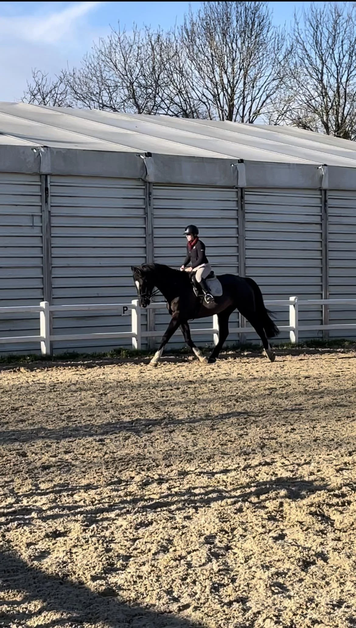 Bridget & Mojo's First Ride