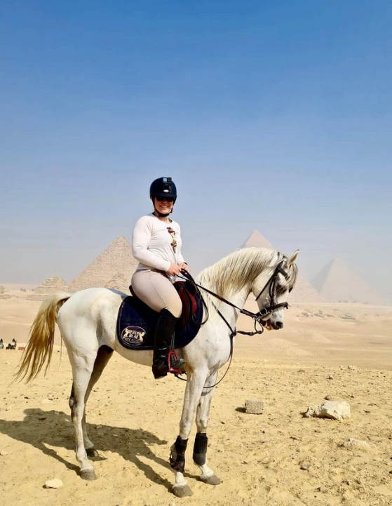 Aslan the Arabian Stallion - In front of the pyramids