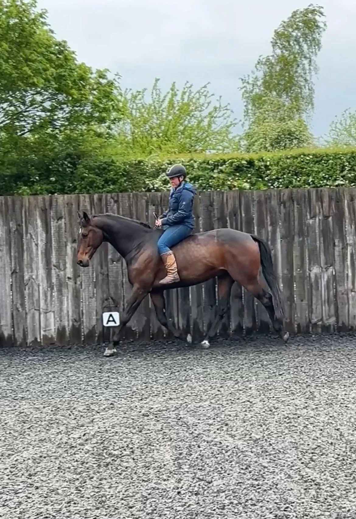 Bridget and Roman Tackless