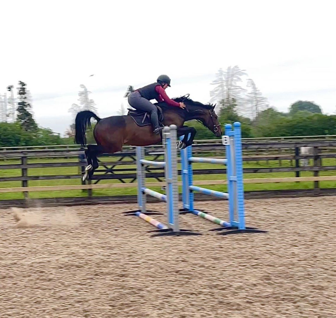Bridget & Roman Training in the UK