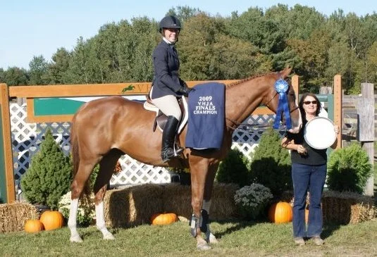 Justice - Bridget's Junior Equitation Horse