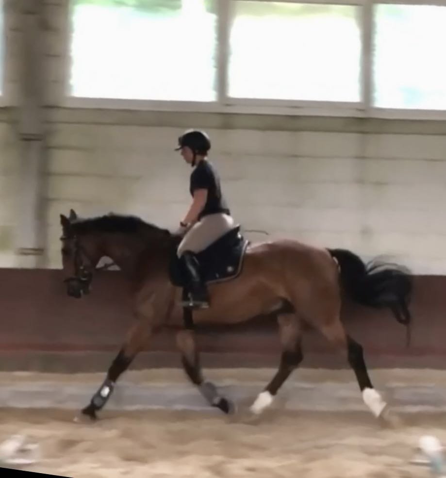 Bridget & Olympus in Germany