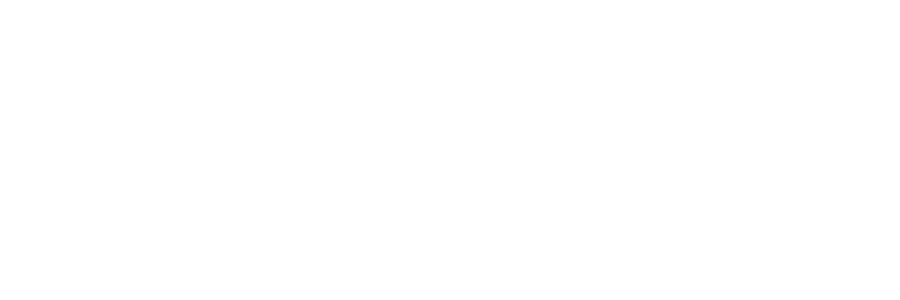 The Village at Lakeshore Crossings