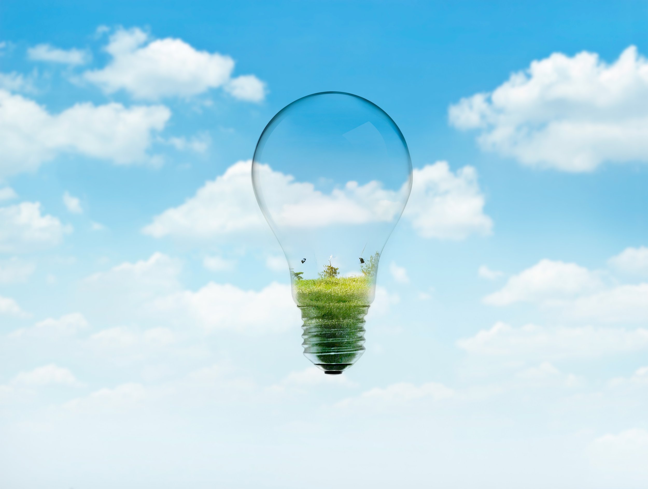 iStock-494188278-ai-modified-4b15dedd-a86d-49c9-9631-91089dab41d1.jpg