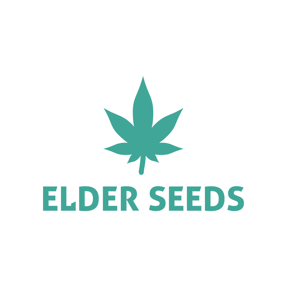 Elder Seeds