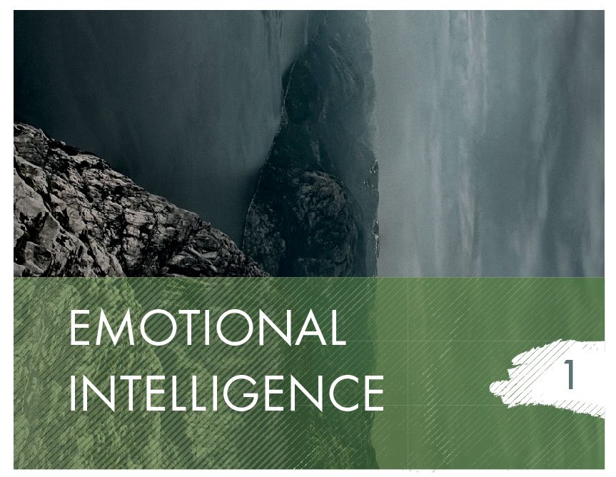 Module 1: Emotional Intelligence