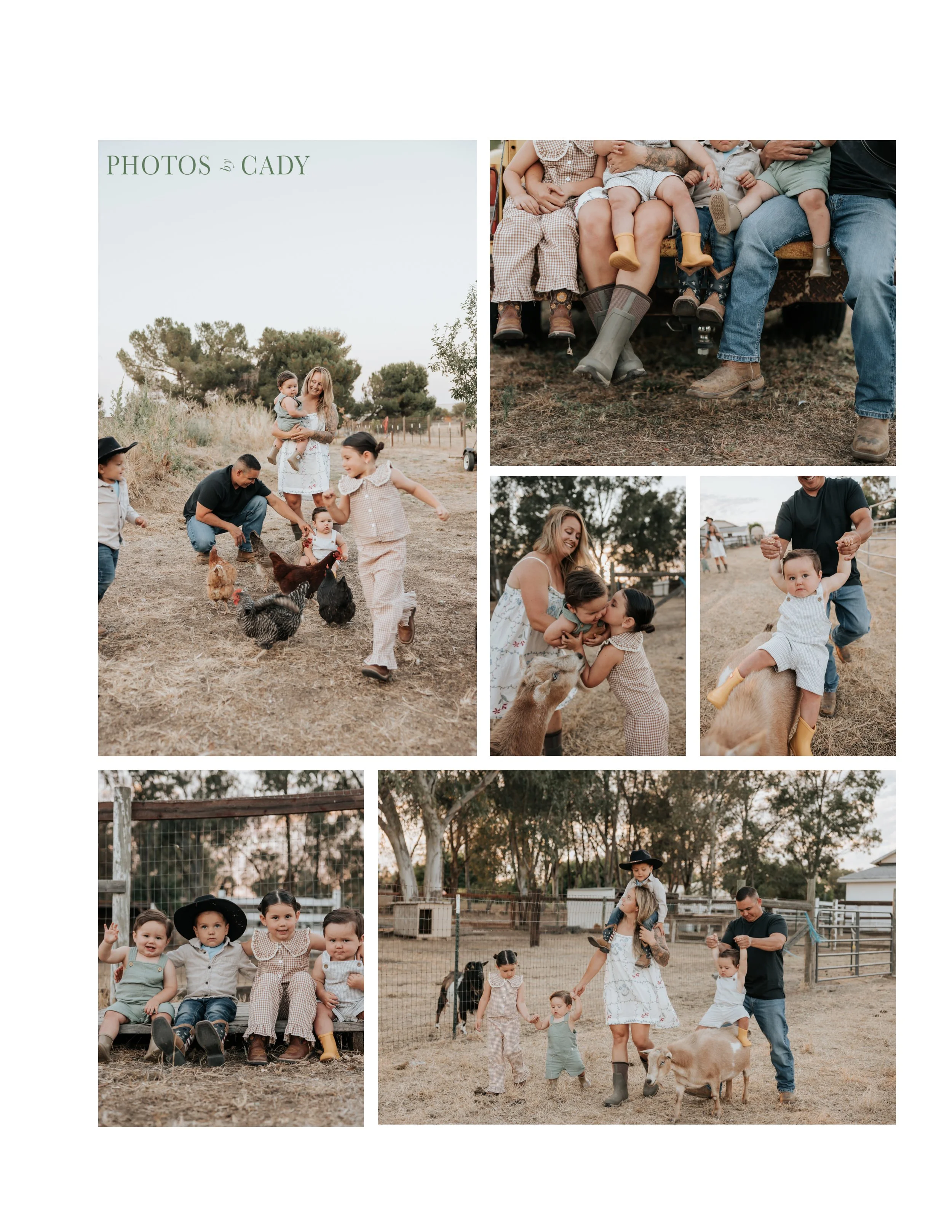 Extended family sharing playful outdoor portraits.