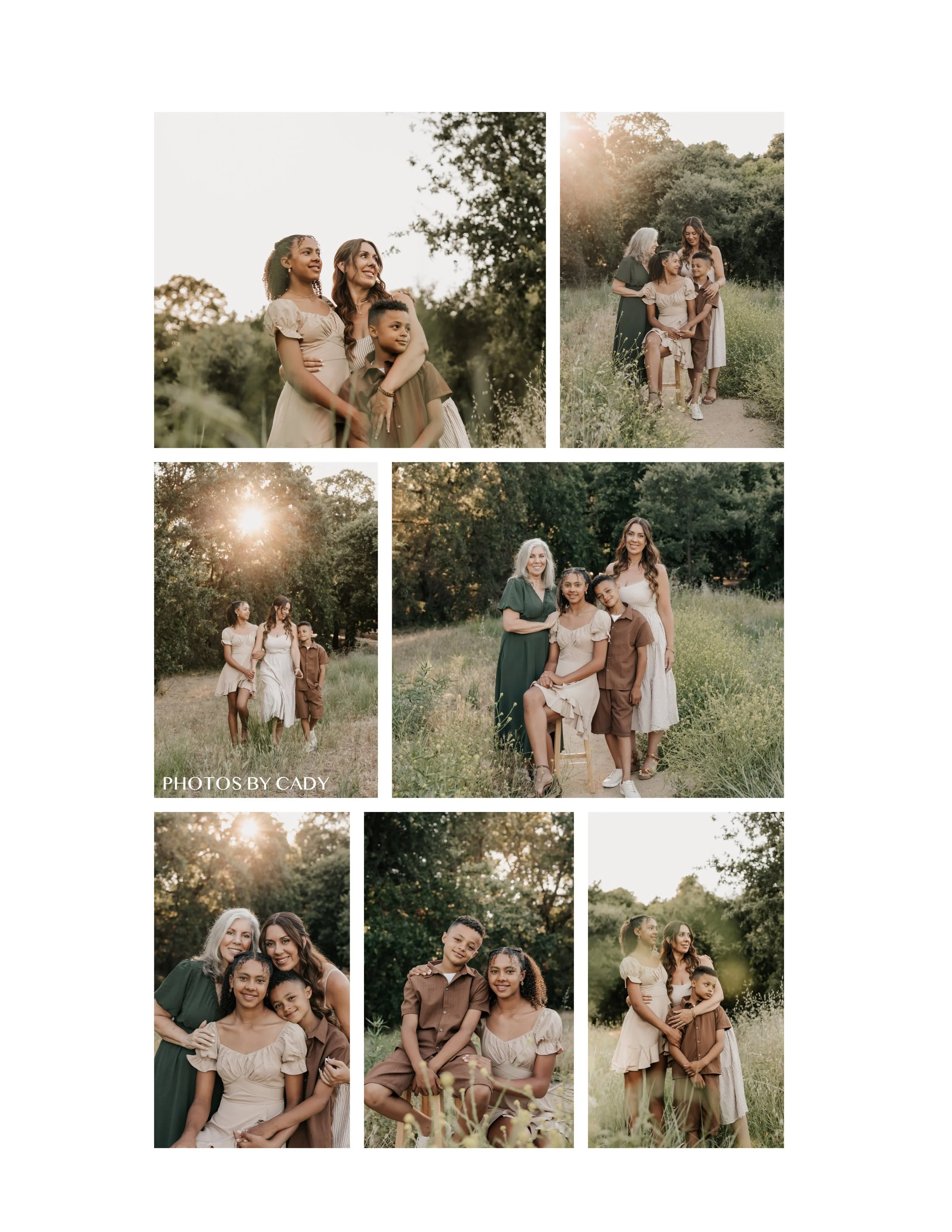 Family of four sharing affectionate moments in a sunlit field.