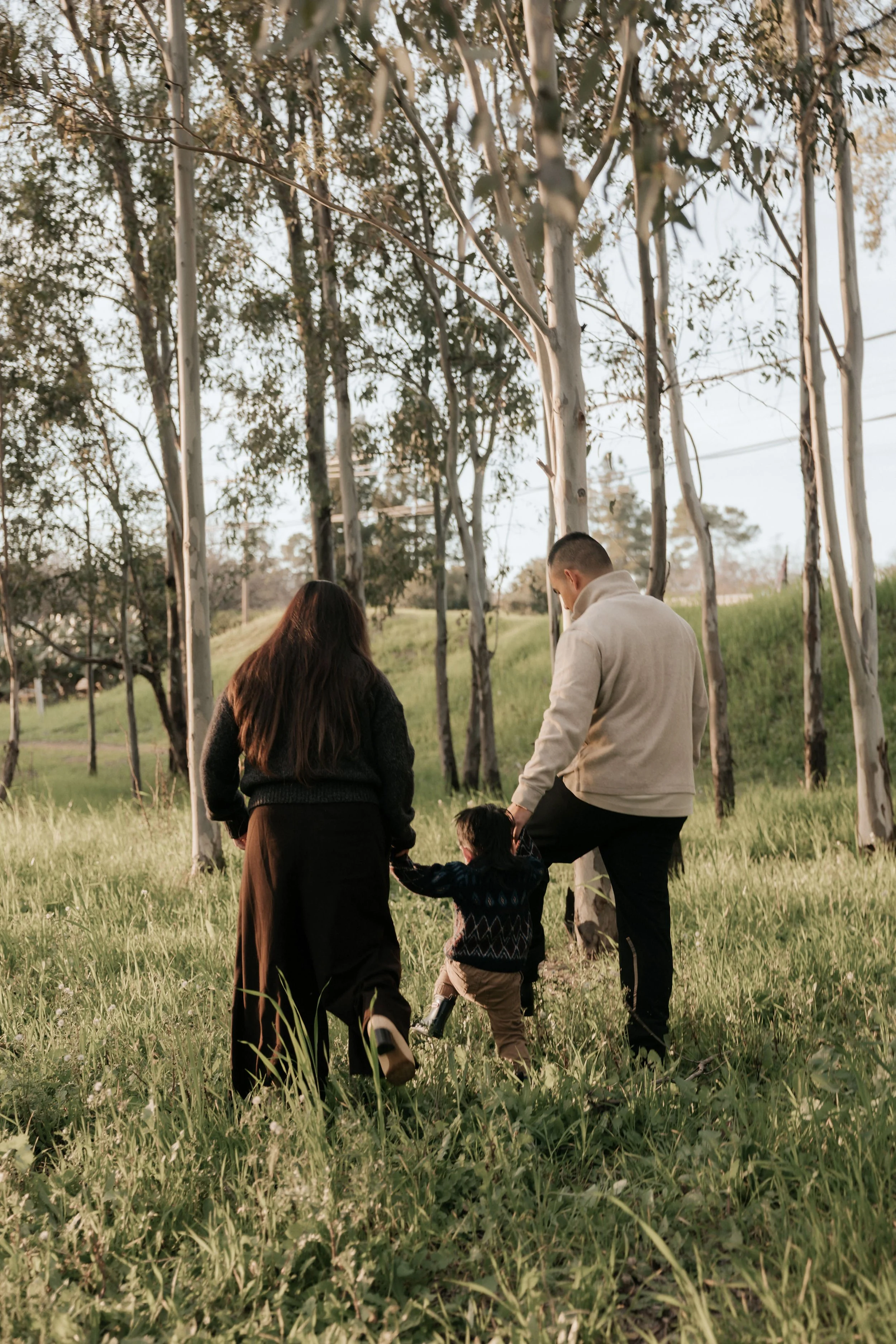 Family session with toddler, Napa California