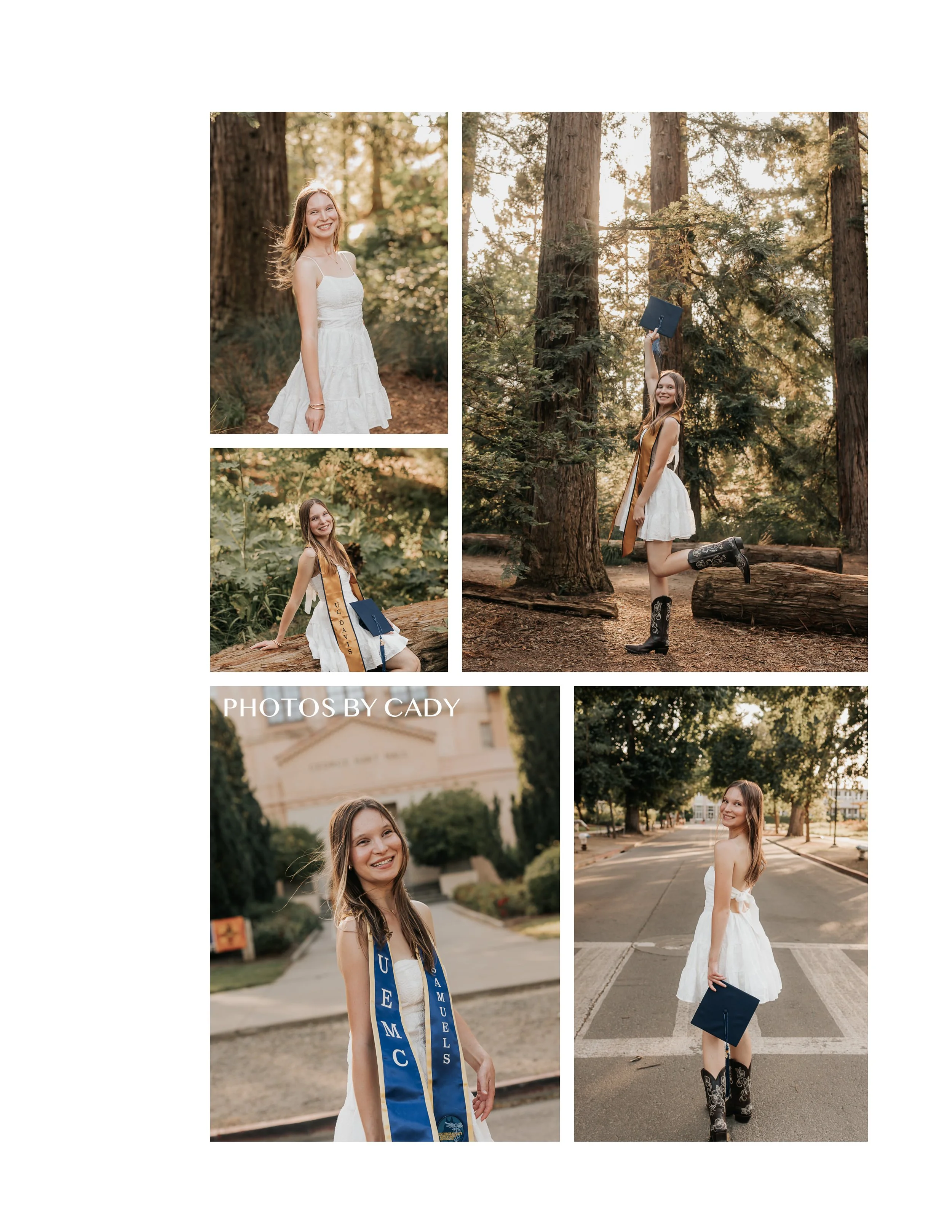 Graduate posing in cap, gown, and blue stole among redwoods and campus paths.
