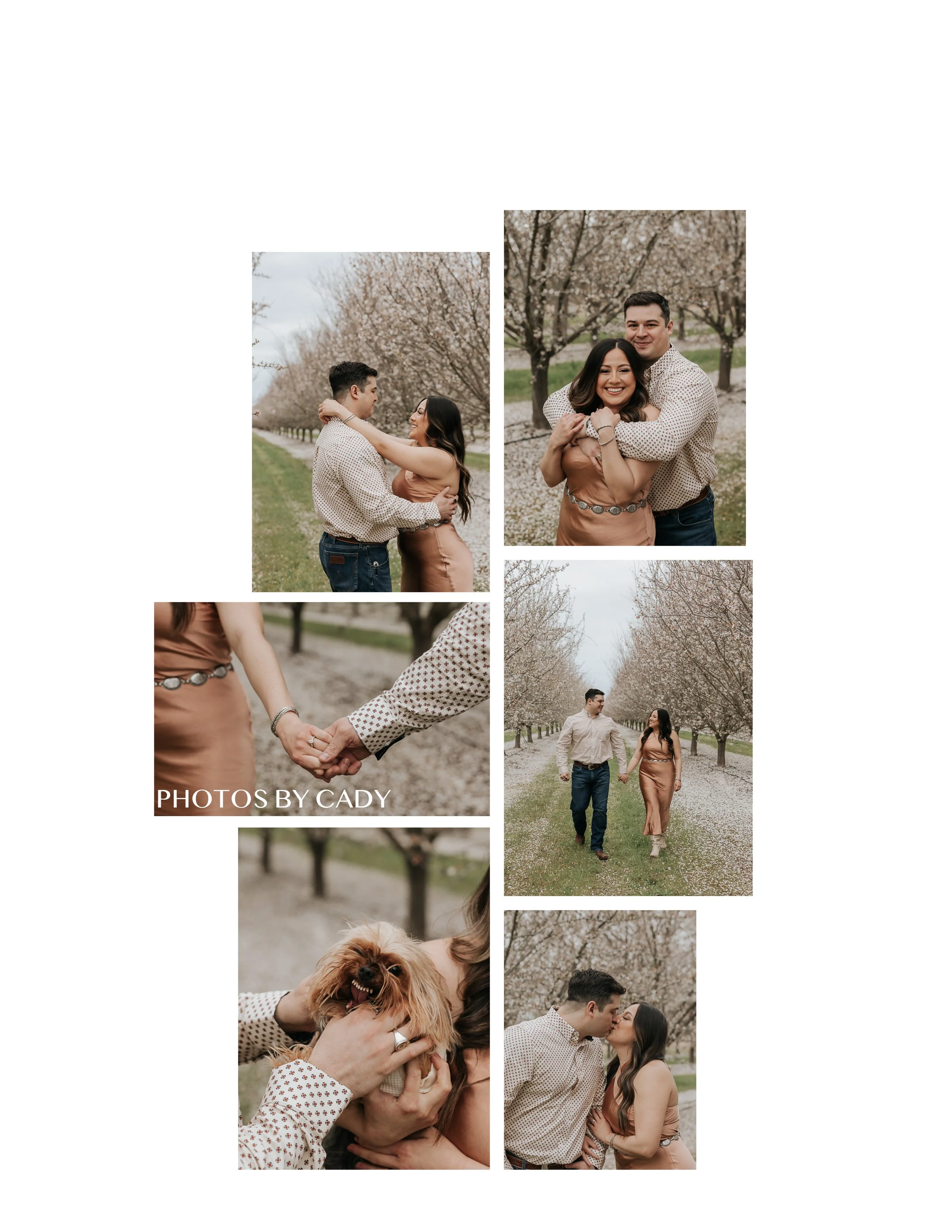 Family portraits, Benicia California photo 20