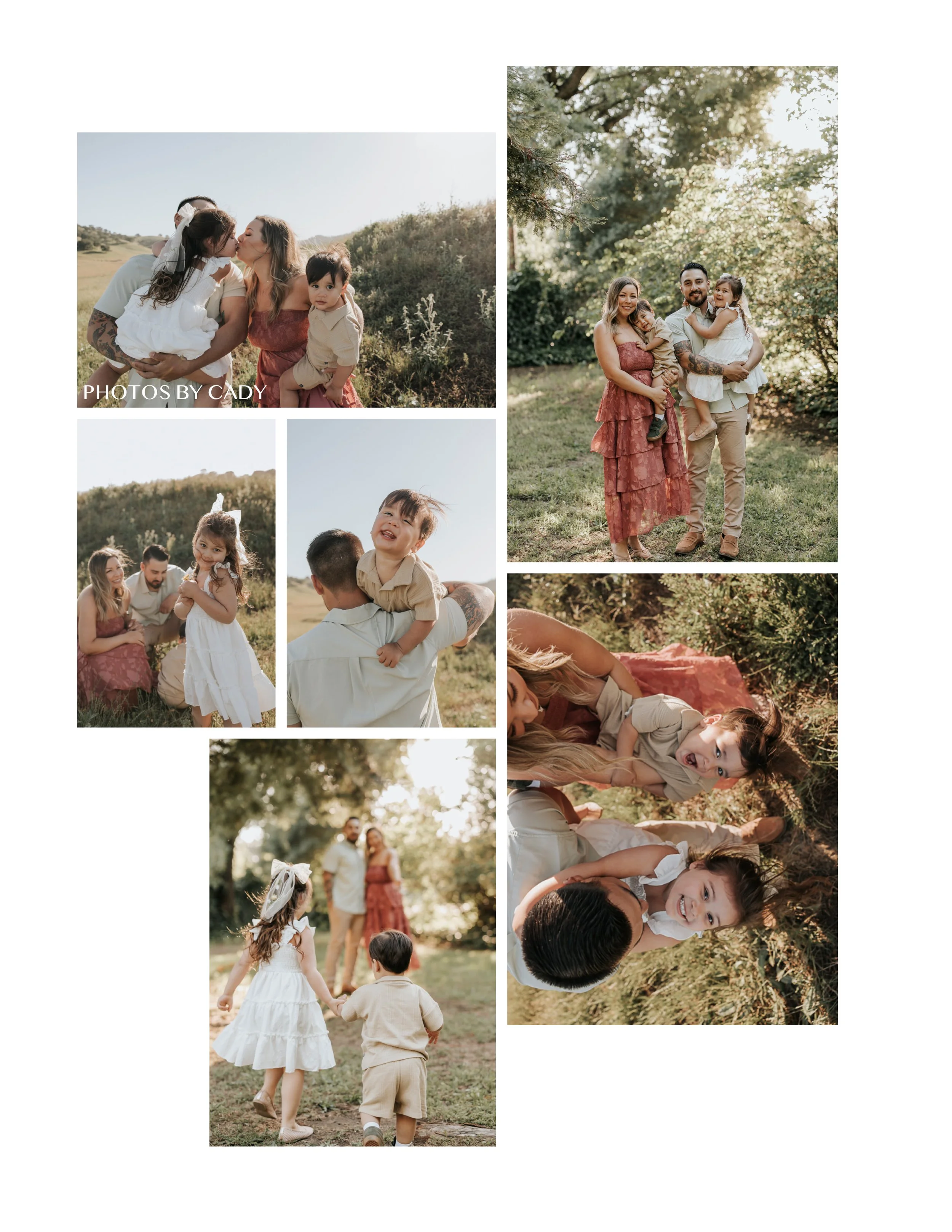 Fairfield family photo, parents and two kids in golden hour field.