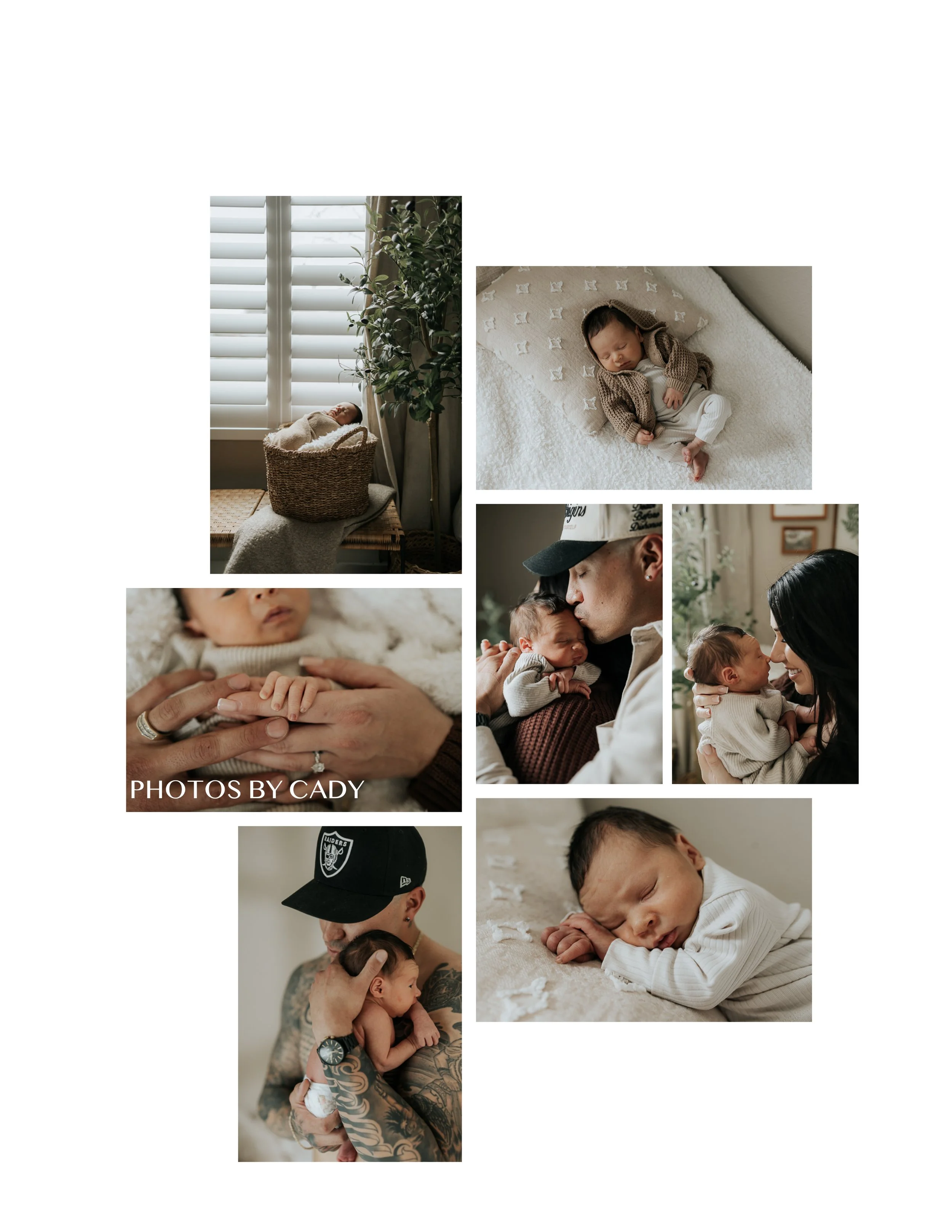 Studio newborn portrait, Solano County