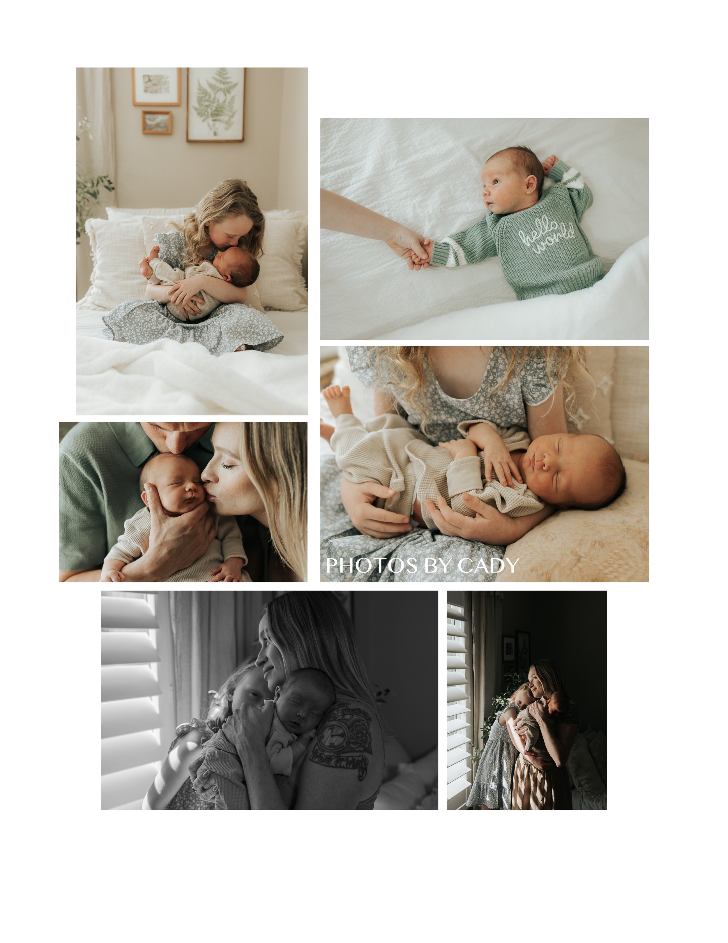 Fairfield newborn portrait, baby in basket with soft wool fluff.