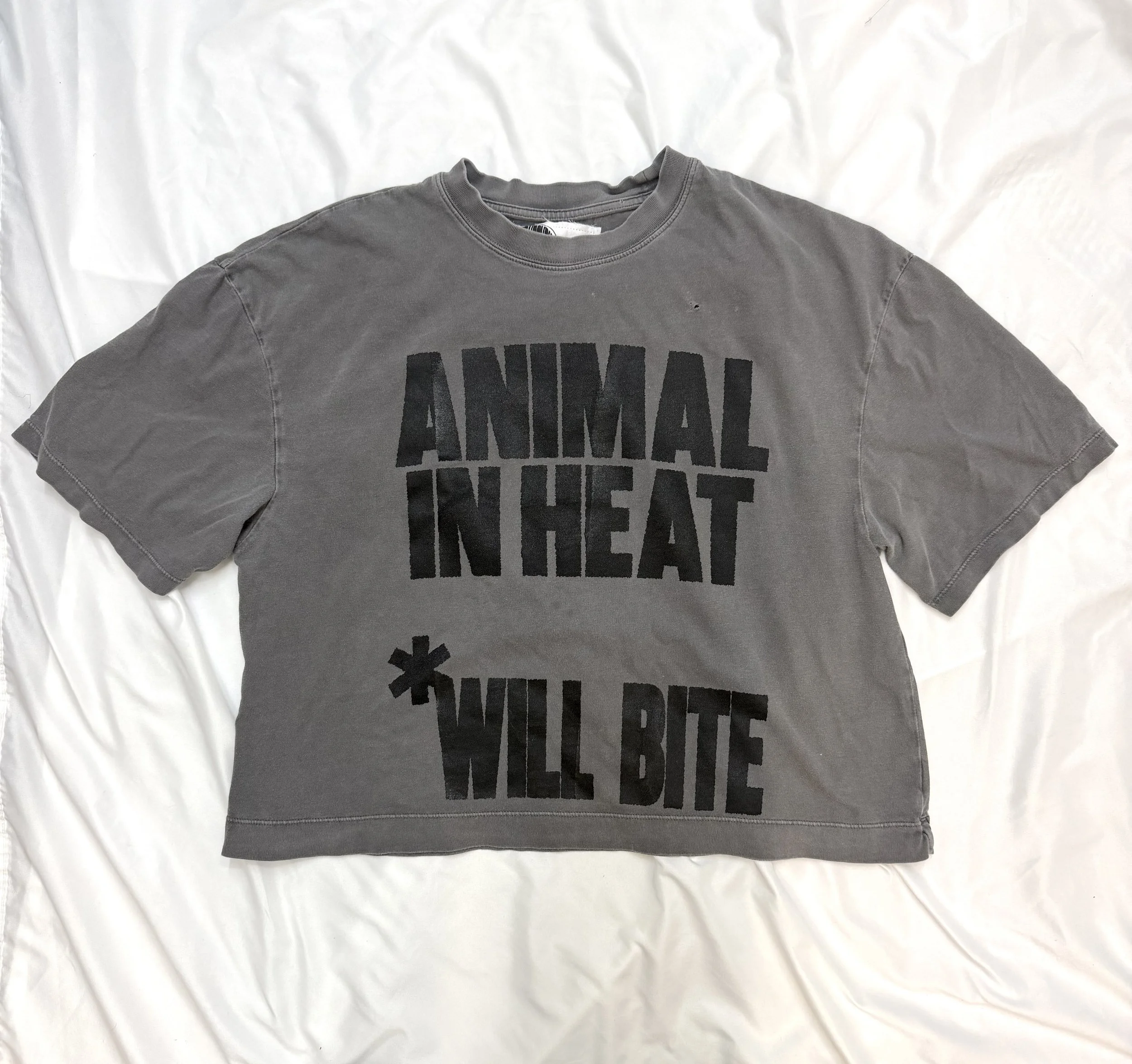 gray crop top.jpg