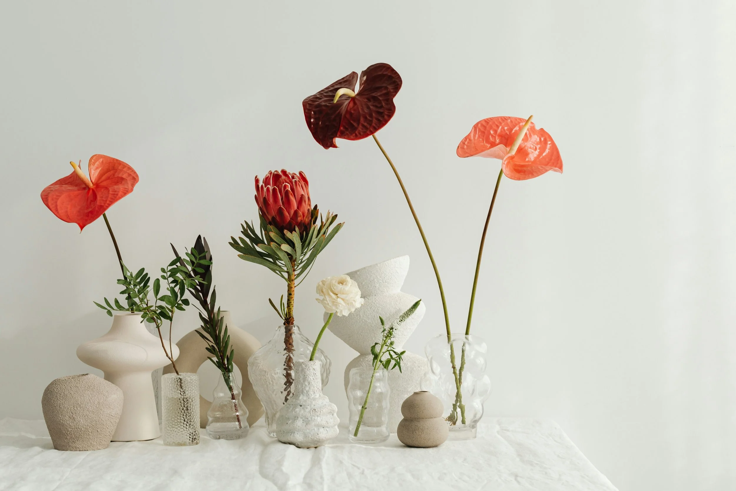 Collection of flowers in vases