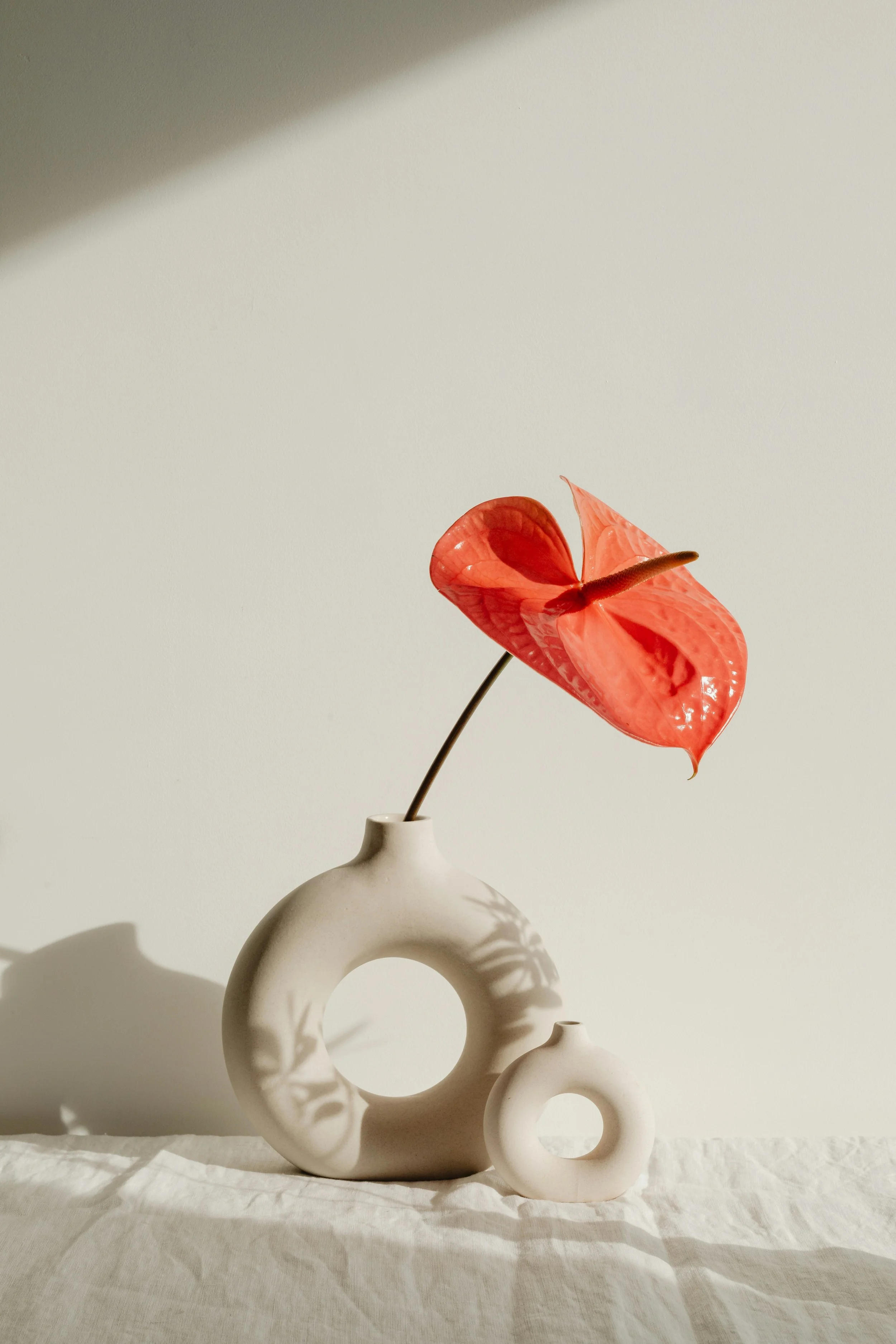 Single flower