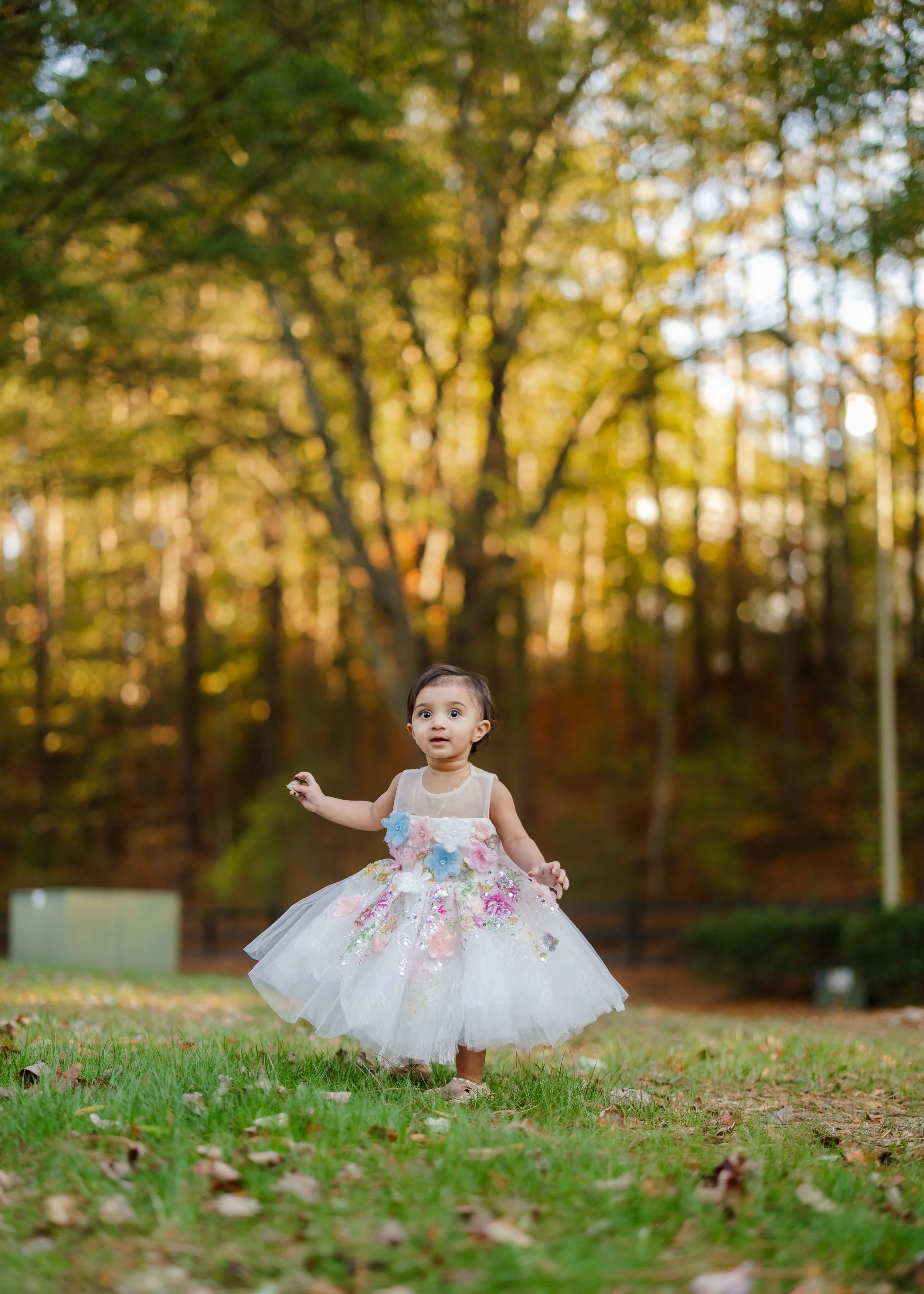 Prisha Birthday Party-101.jpg