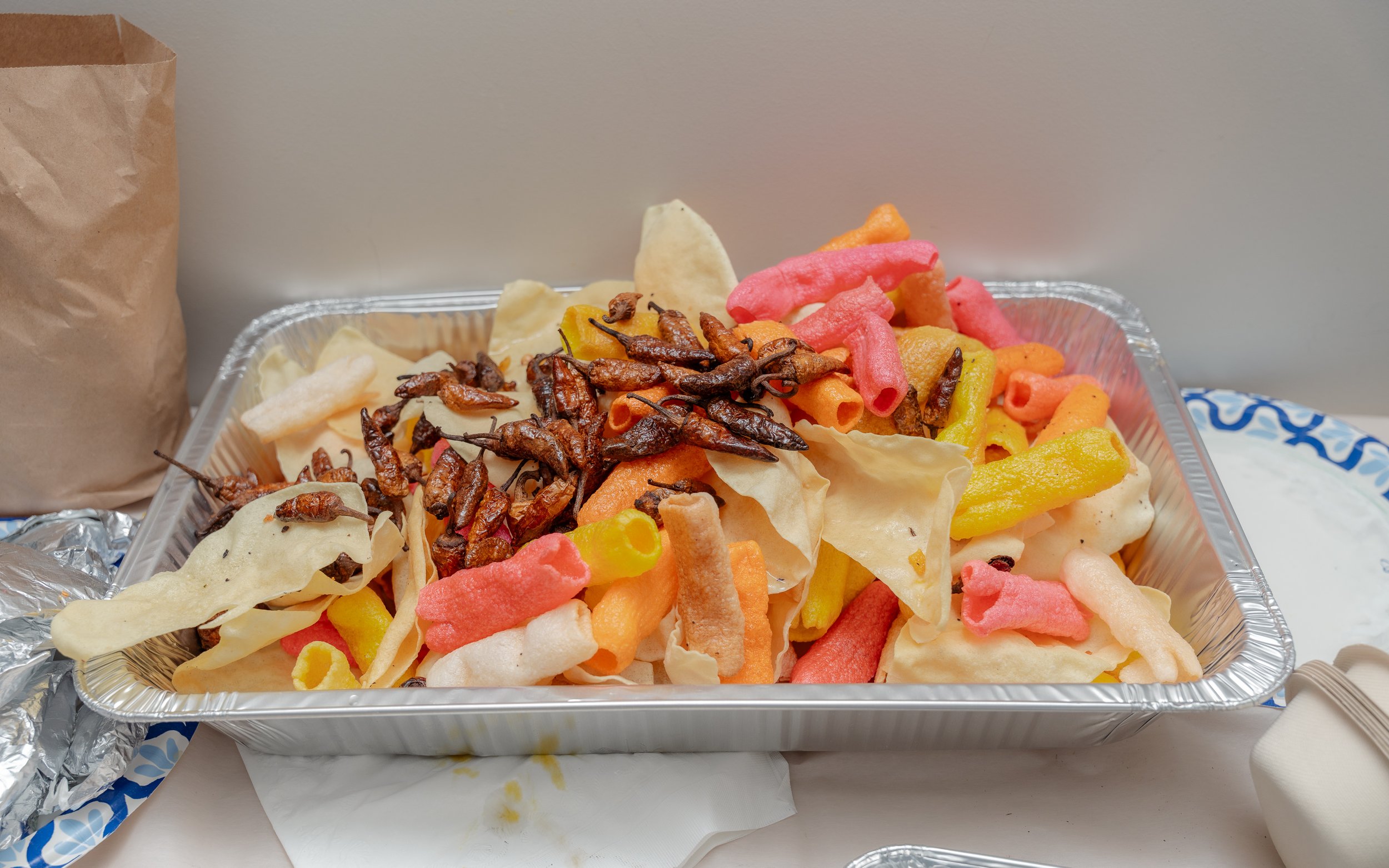 Vedha & Sandeep Engagement Ceremony-520.jpg