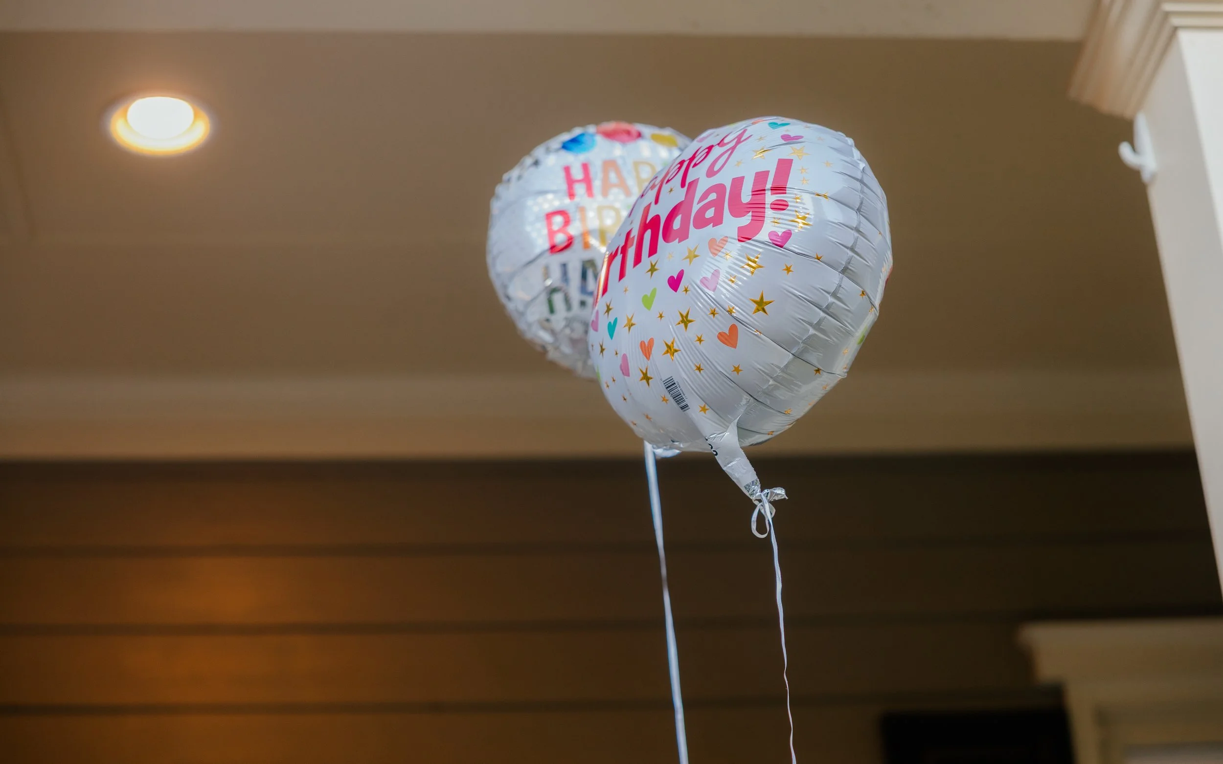 Prisha Birthday Party-9.jpg