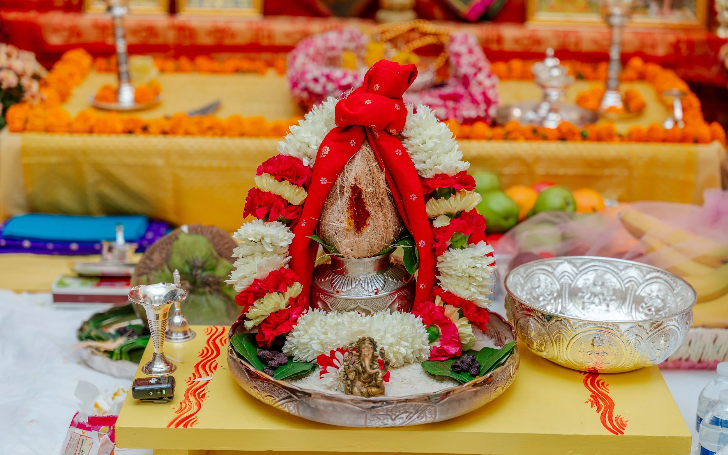 Vedha & Sandeep Engagement Ceremony-1.jpg