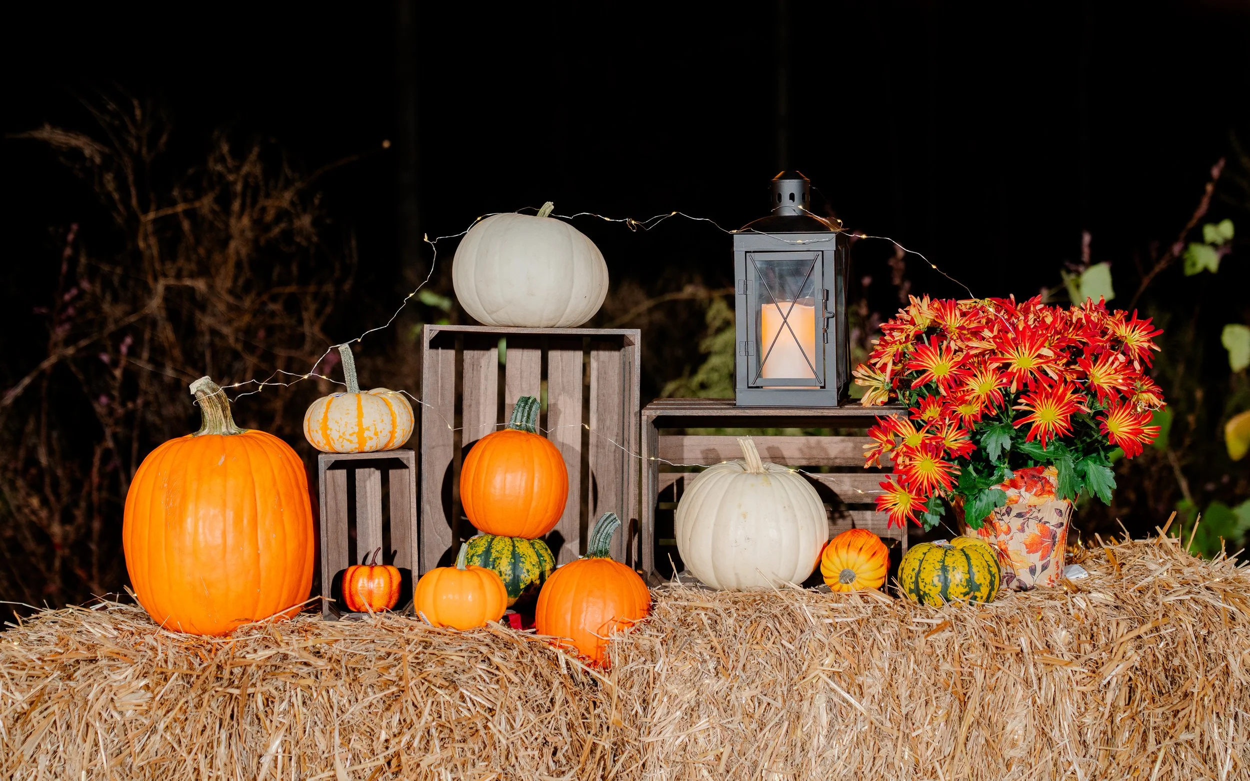 Fall Gathering-180.jpg