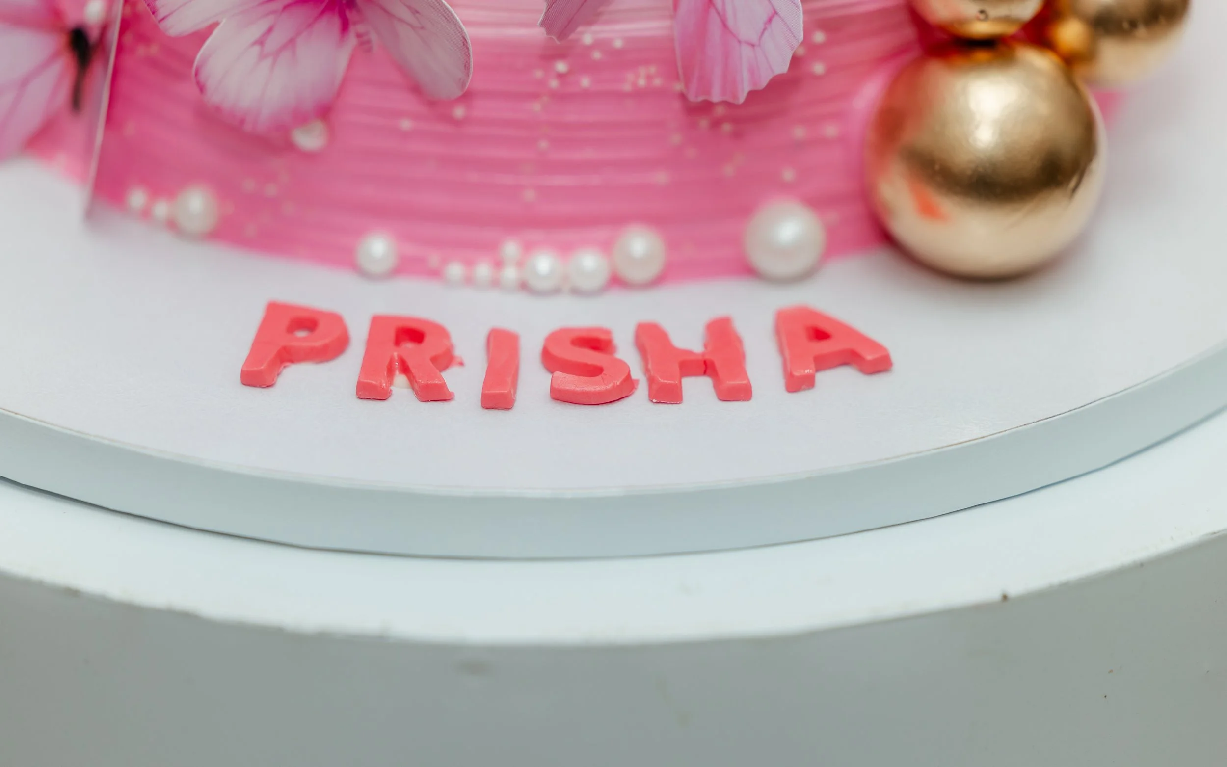 Prisha Birthday Party-259.jpg