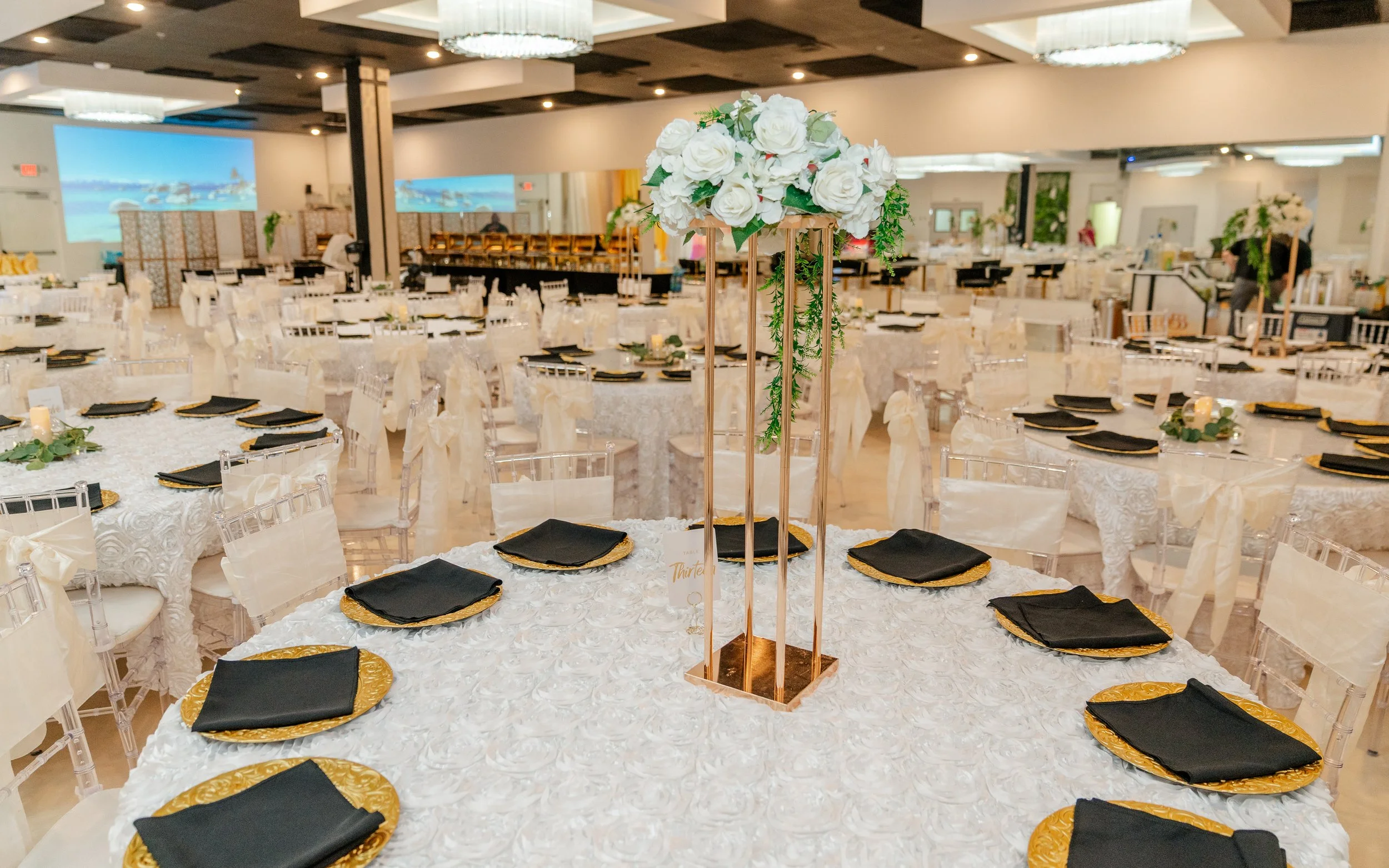 Sanmesh & Vaishnavi Reception-8.jpg