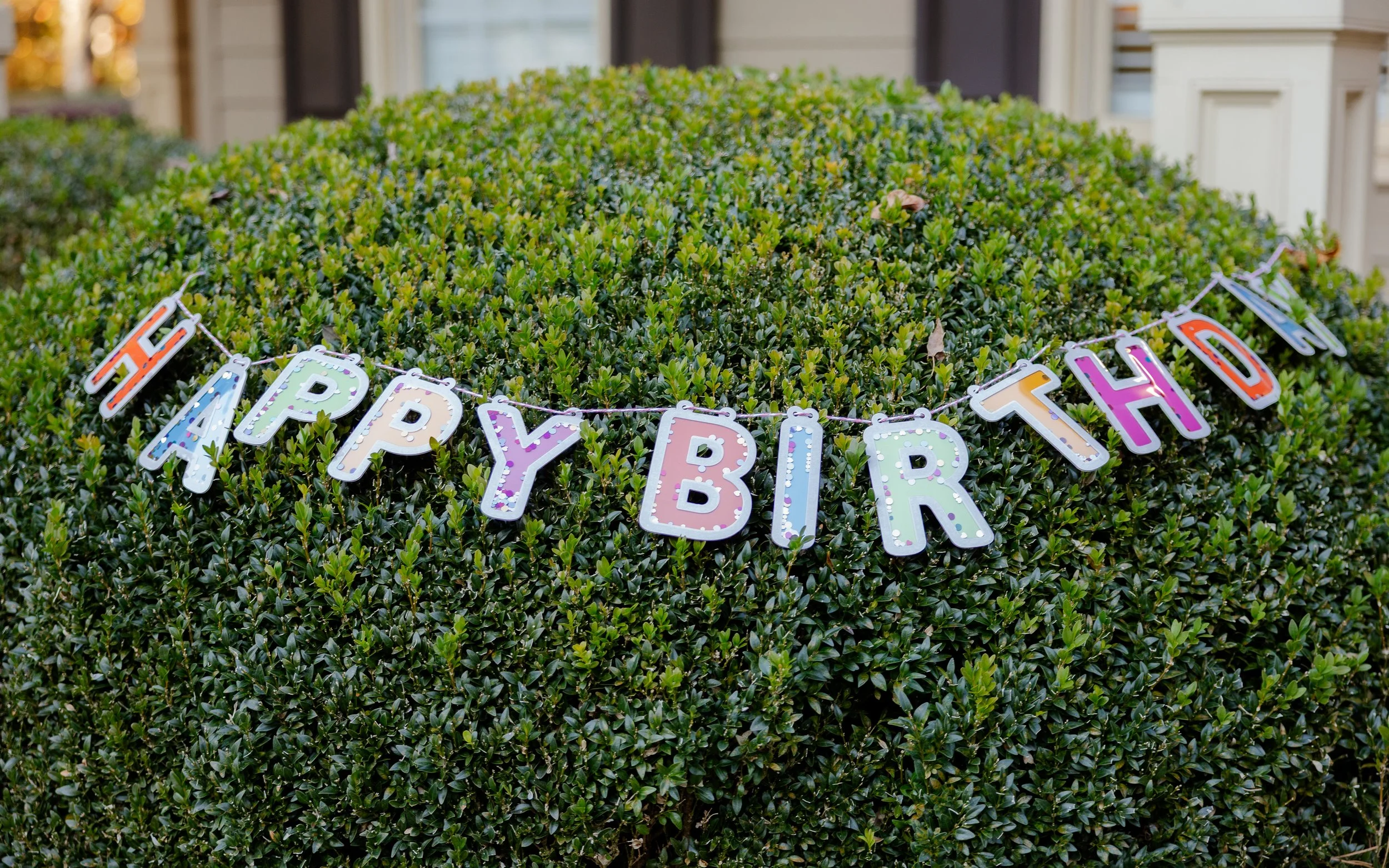 Prisha Birthday Party-10.jpg