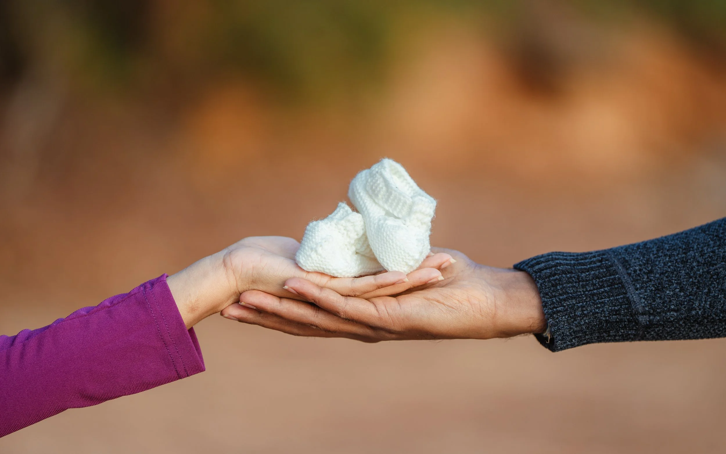 Apoorva Maternity Shoot-138.jpg