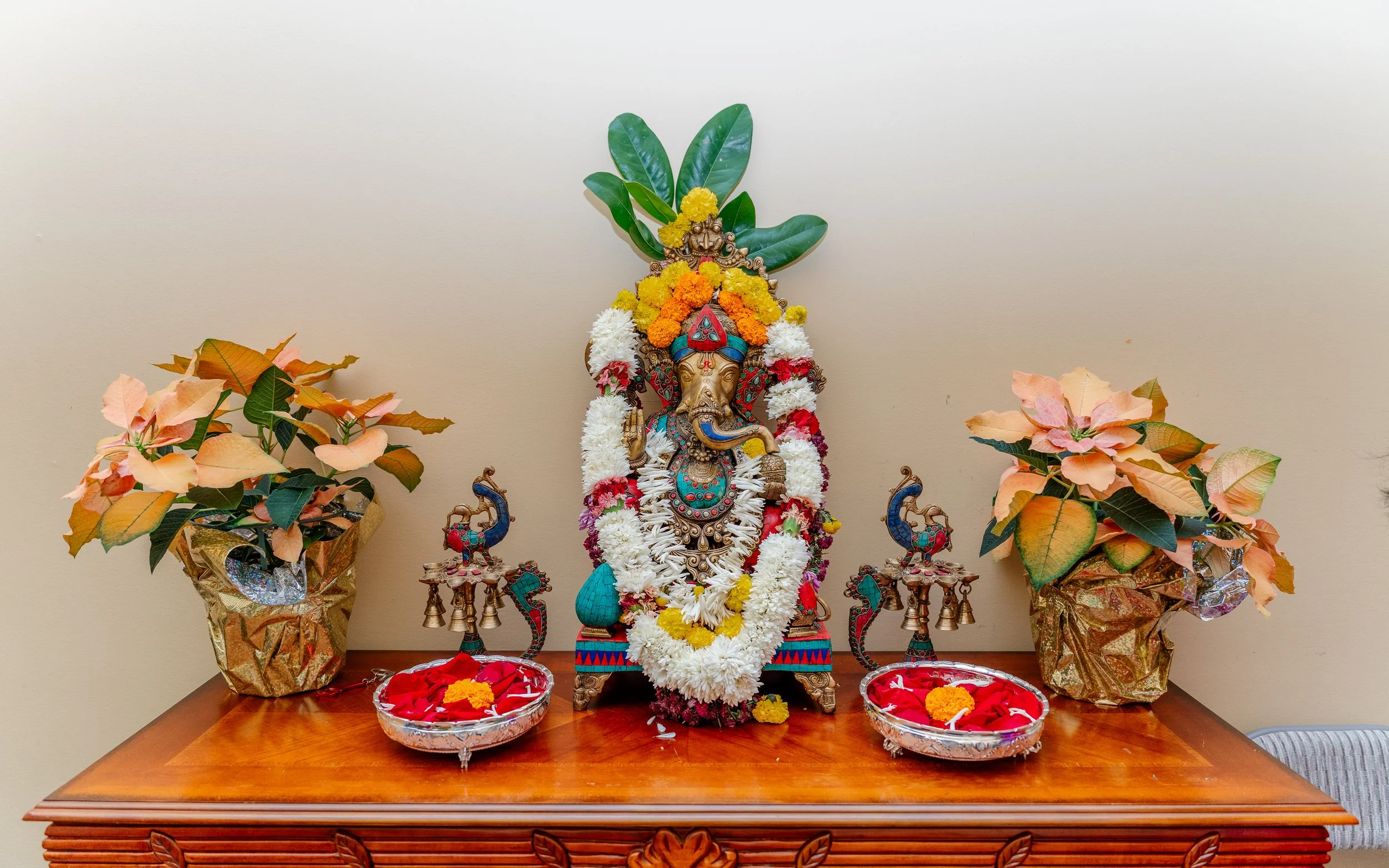 Vedha & Sandeep Engagement Ceremony-65.jpg