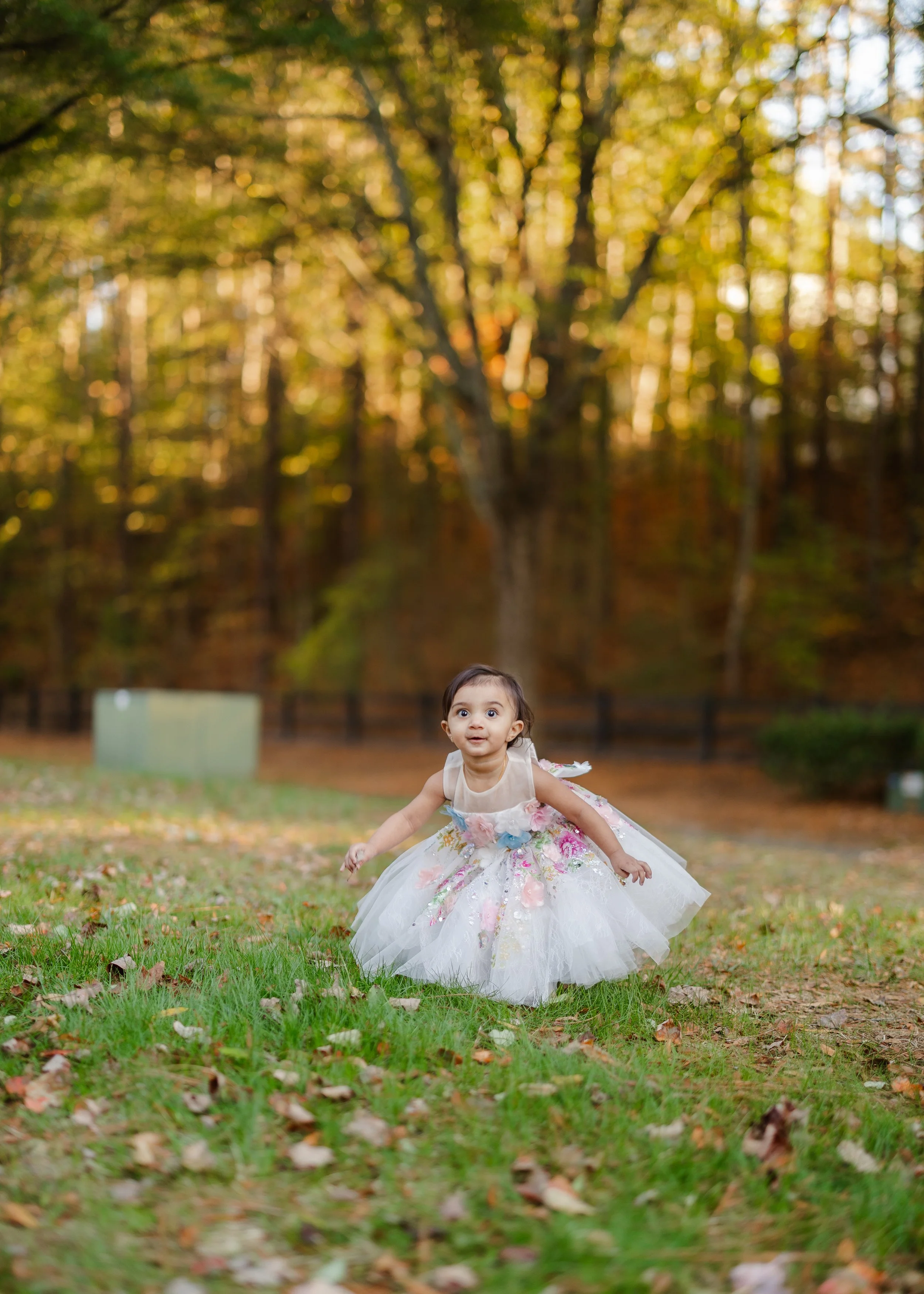 Prisha Birthday Party-100.jpg