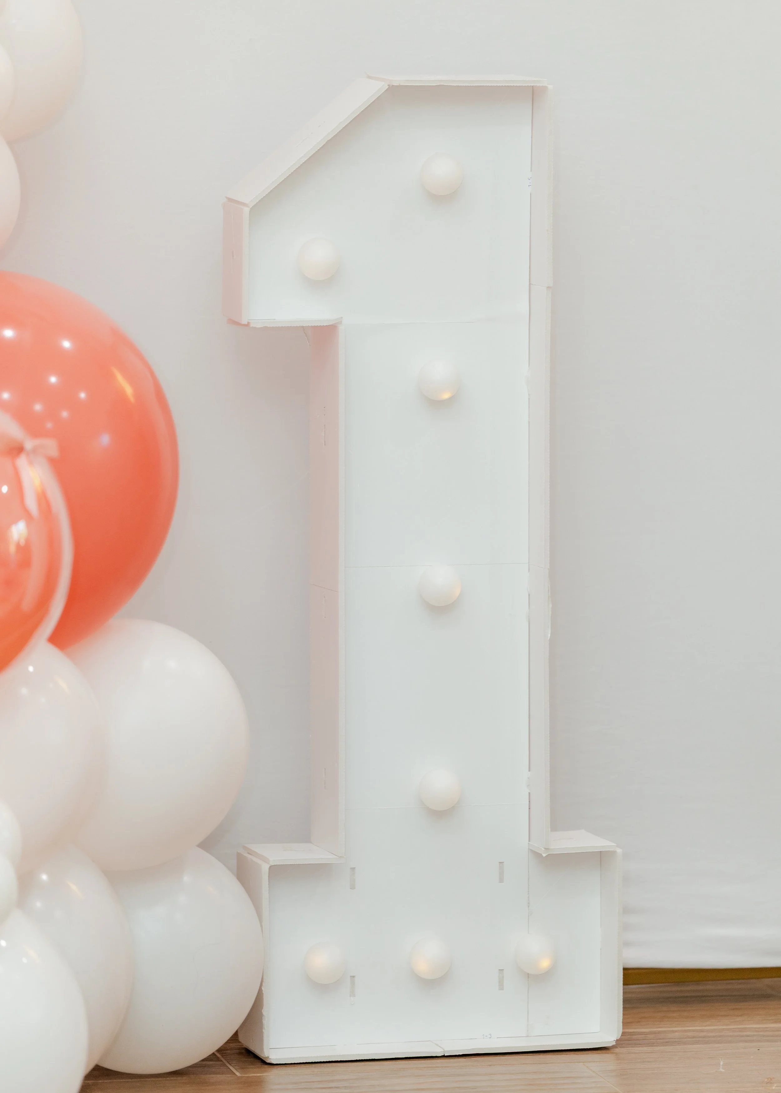 Prisha Birthday Party-13.jpg