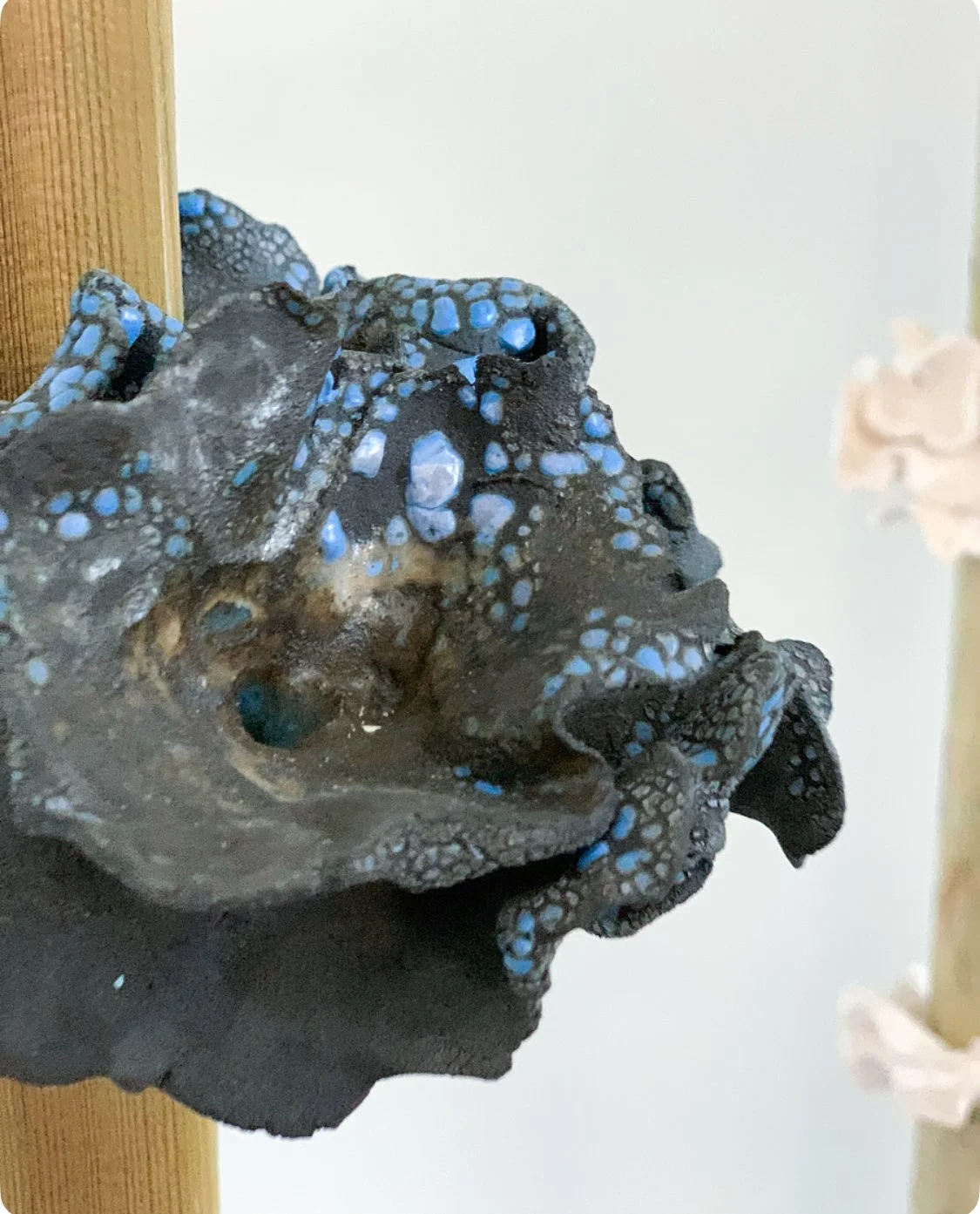 Ecky Thump: T’ Woods of Ecky Thump | Postgraduate Show, Heatherley School Fine Art, London | 2024