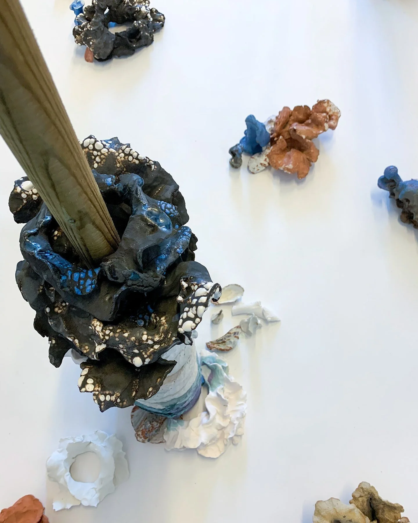 Tree Vertebrae &mdash; Underrt Canopy of The Woods of Ecky Thump 

Growths of fungi, flowers and leaves&hellip; a plethora bioforms both recognisable and gestural of those found during a woodland walk.

Porcelain, back clay, ceramic glazes and oxides