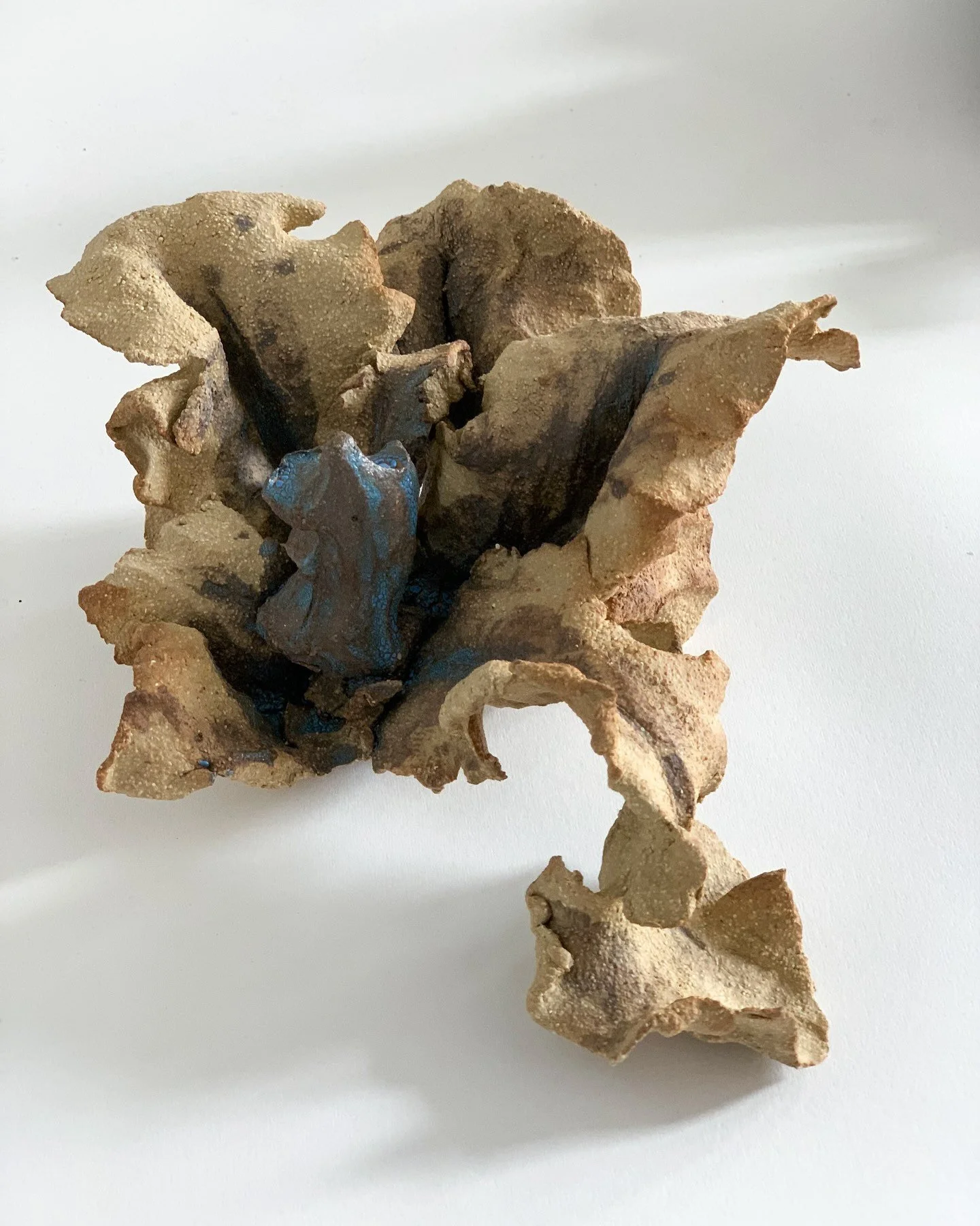 Crumbled Leaves &mdash; Underrt Canopy of The Woods of Ecky Thump 

Growths of fungi, flowers and leaves&hellip; a plethora bioforms both recognisable and gestural of those found during a woodland walk.

Crank clay, ceramic glazes and oxides
.
.
.
.
