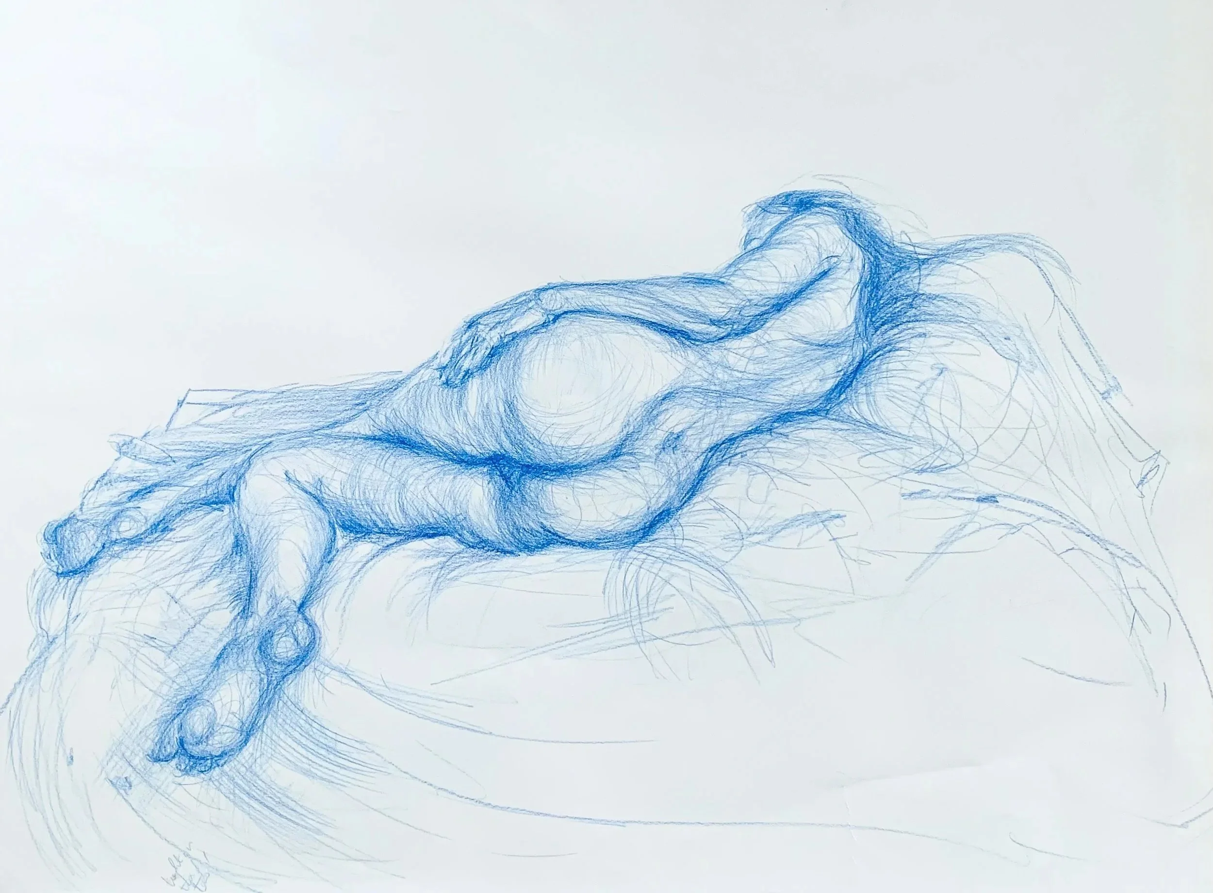 pencil crayon on paper | 60 x 84 cm