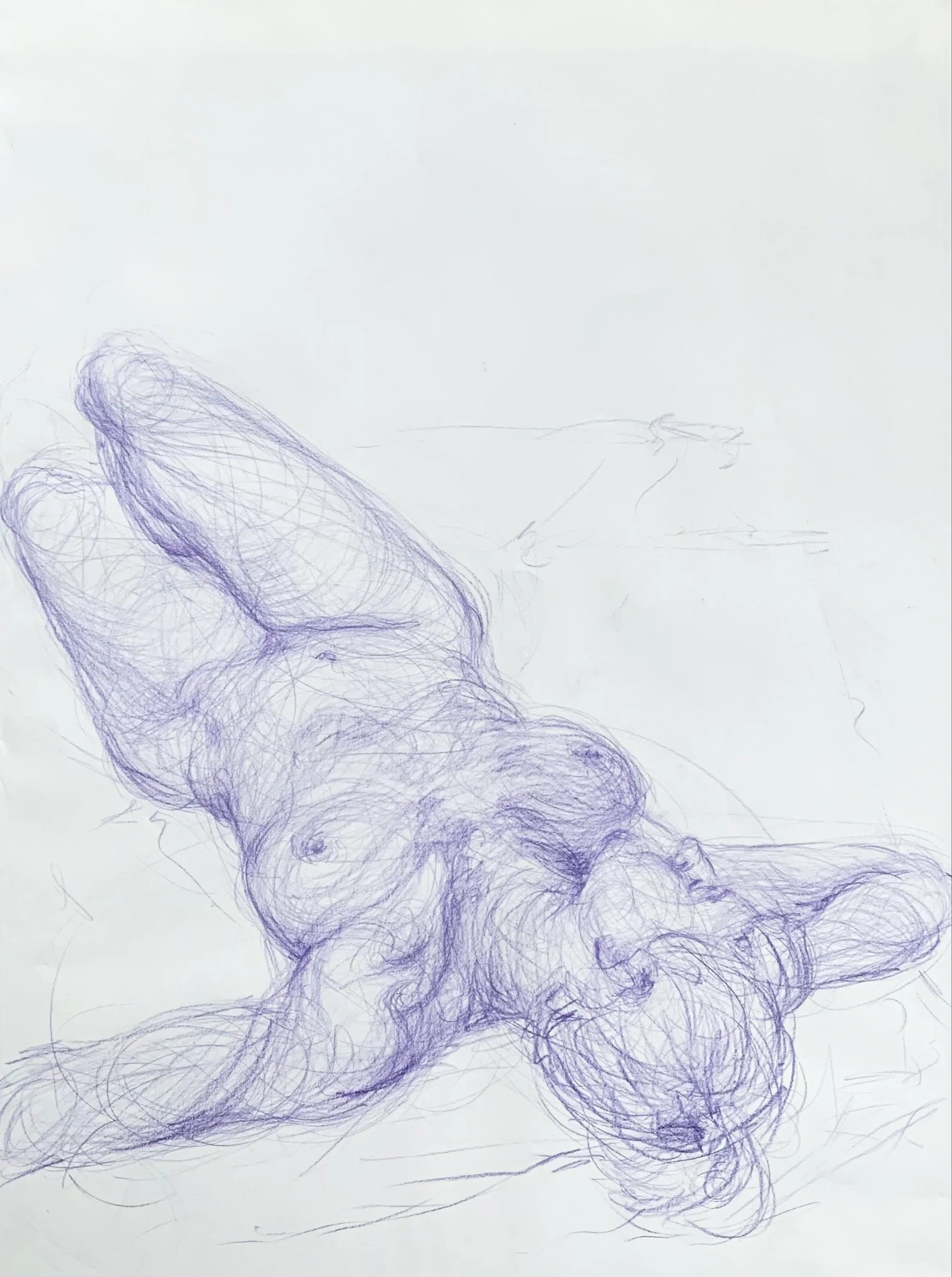 pencil crayon on paper | 84 x 60 cm