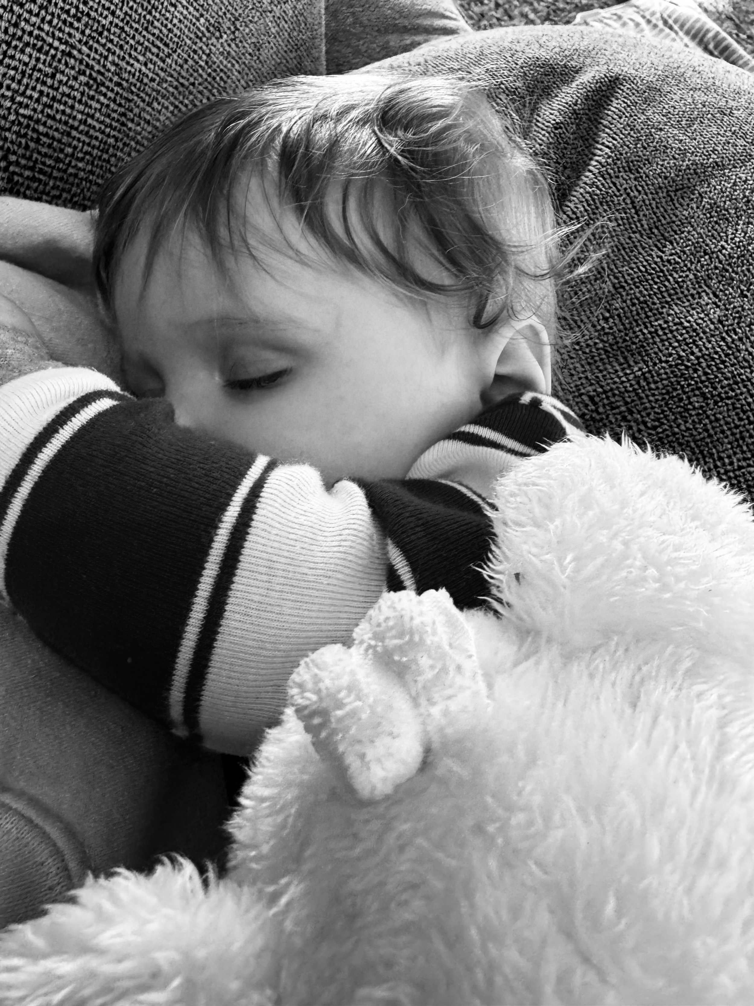 Jesus Was Still Born