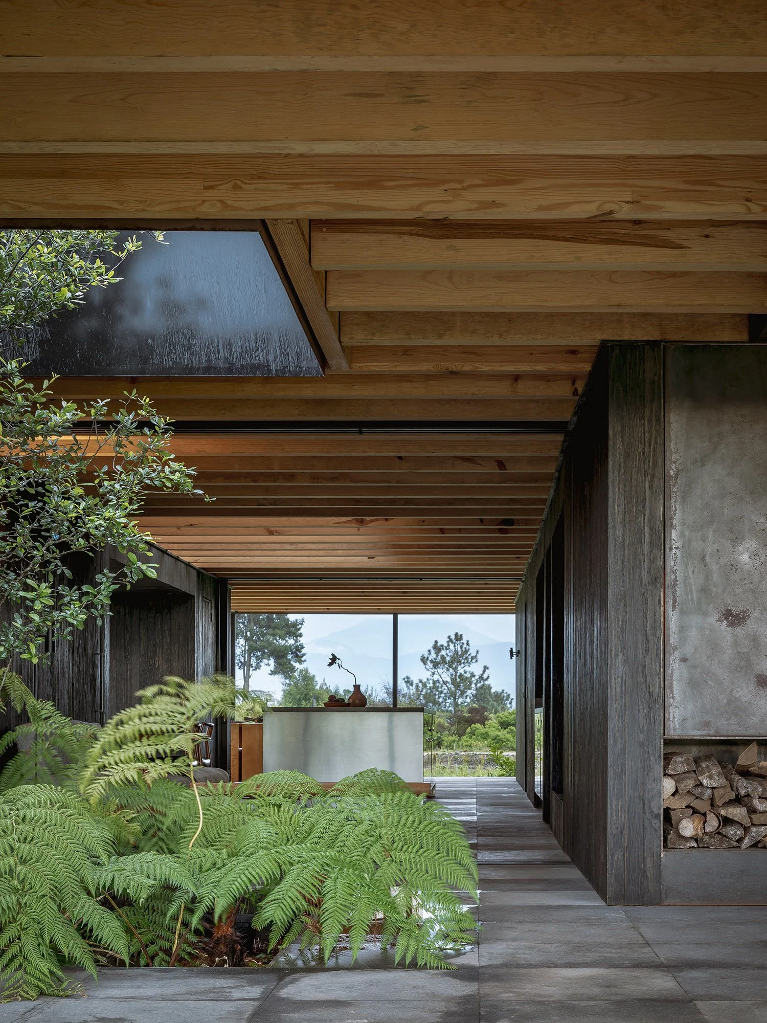 CasaTemascaltepec_RobHutchison_JavierSanchez_07.jpg