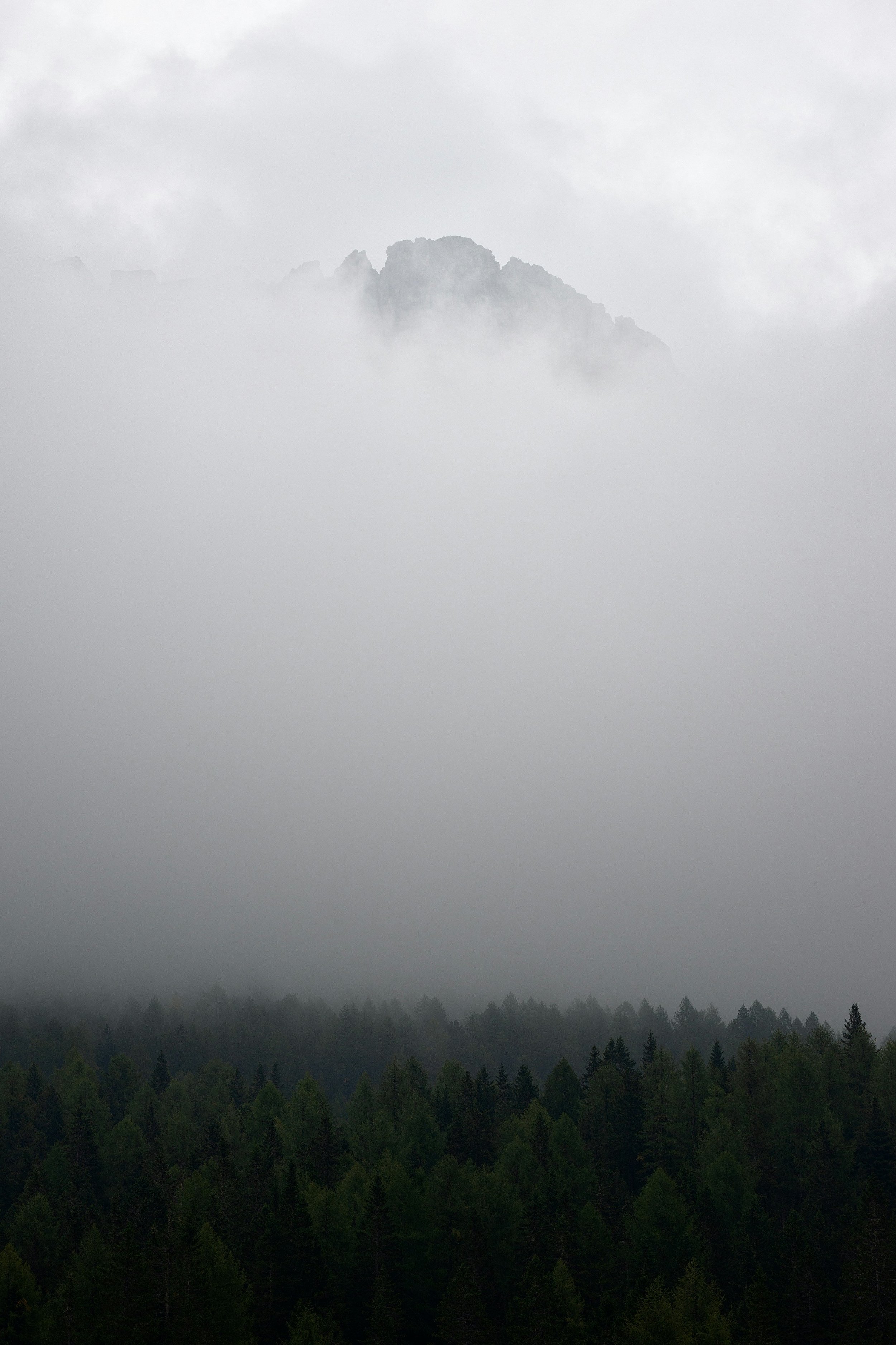 Why Is My Brain So Foggy?