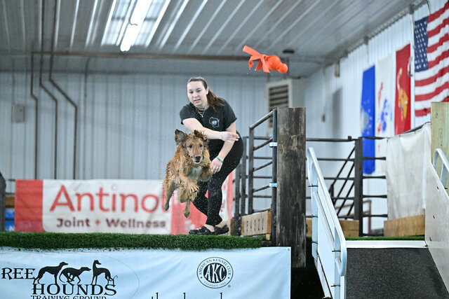 Smokingold's Good Luck Charm JH DS WC working on her Dock Senior Advanced at Three Hounds' last dock event! Seven gives each jump her all and I love that about her. I am very excited about her dock season this year! 

#dockdivingdog #dockdiving #gold