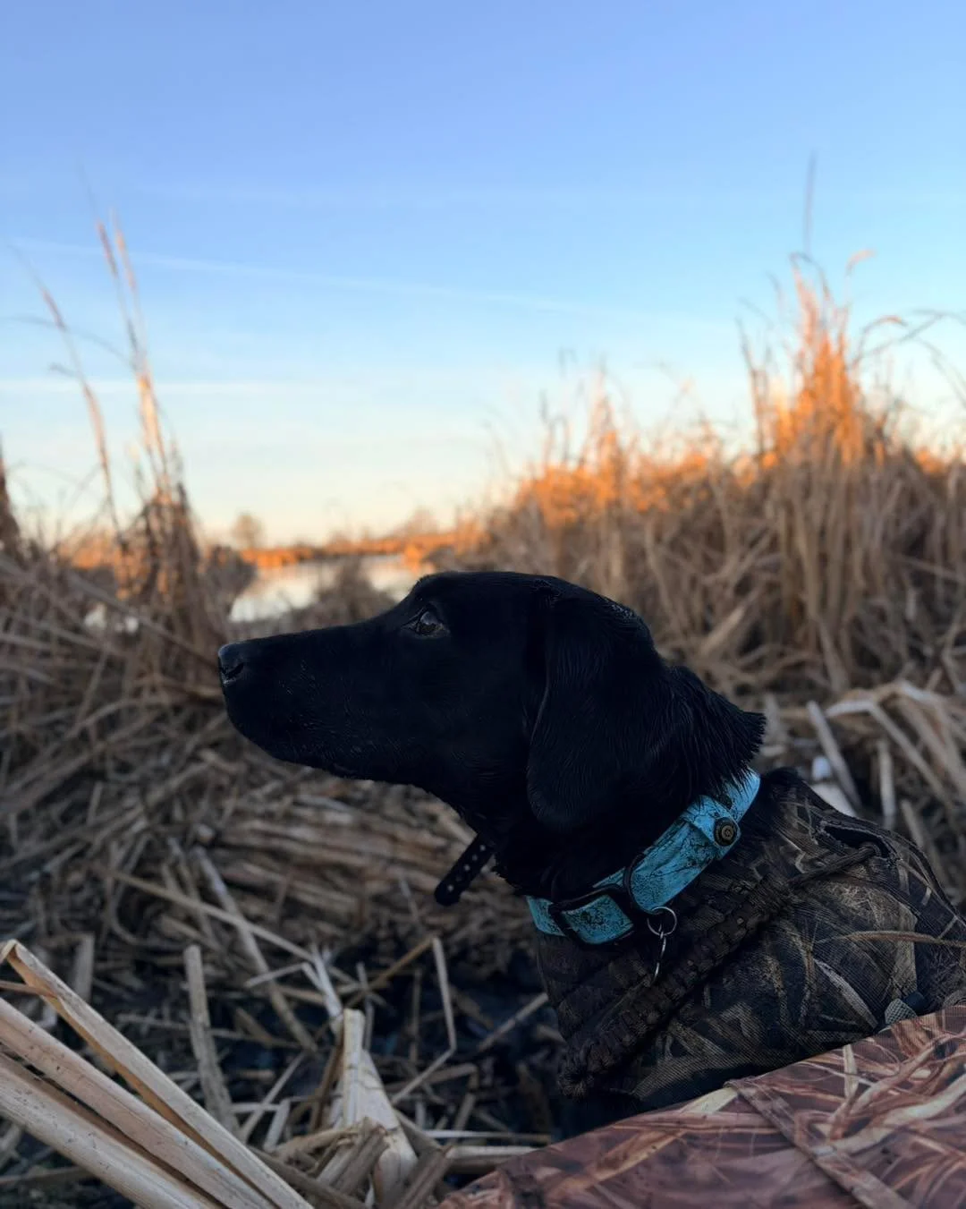 Mighty eyes to sky.jpg