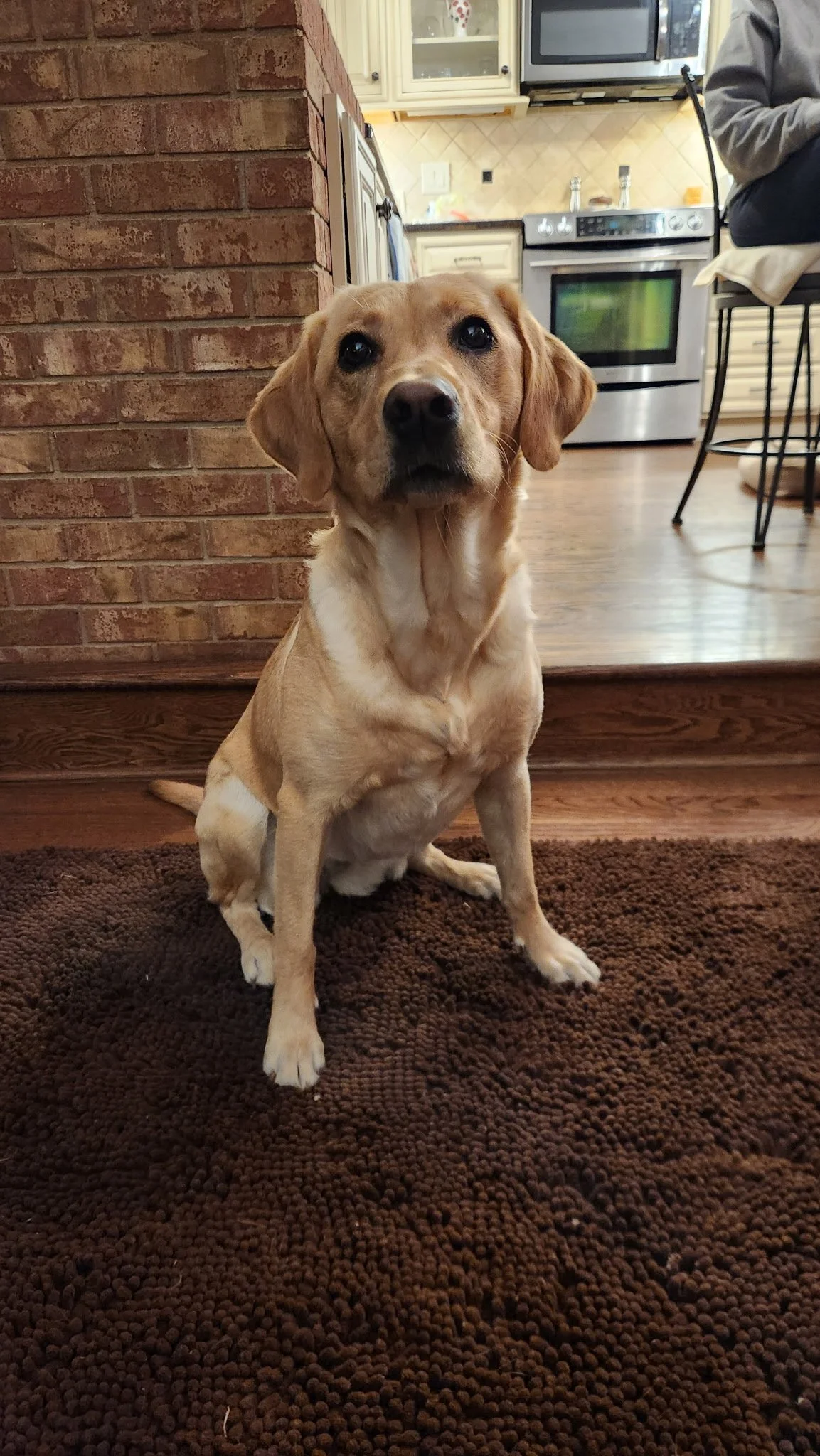Sadie