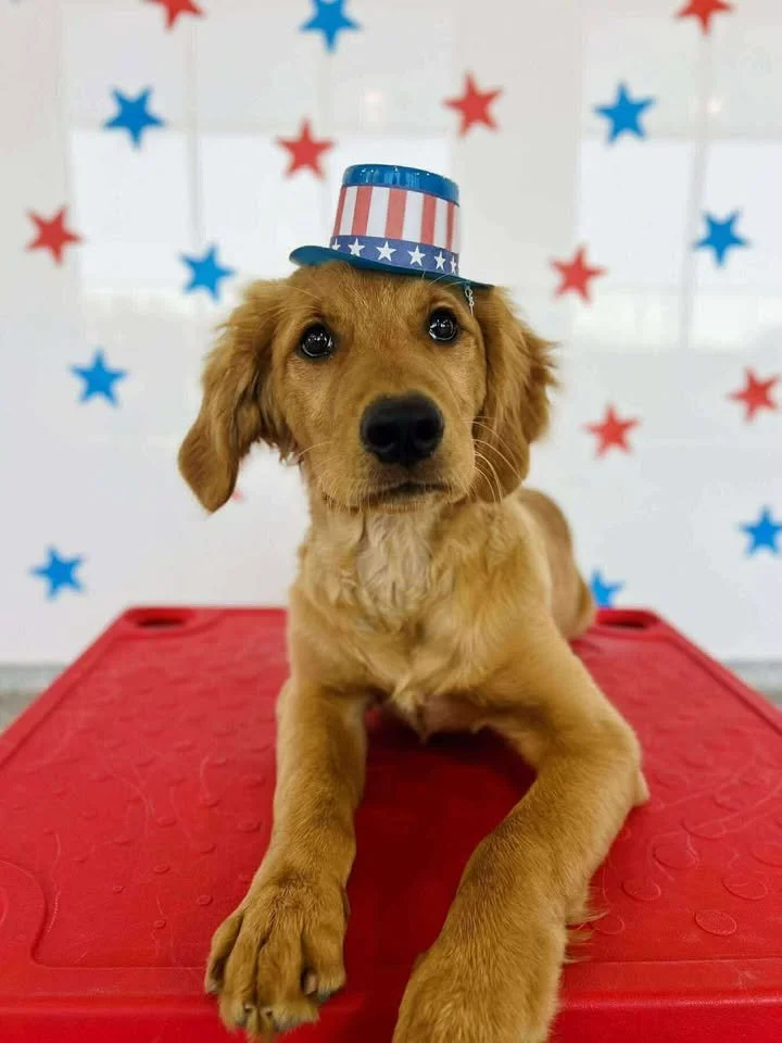 lester 4th of july.jpg