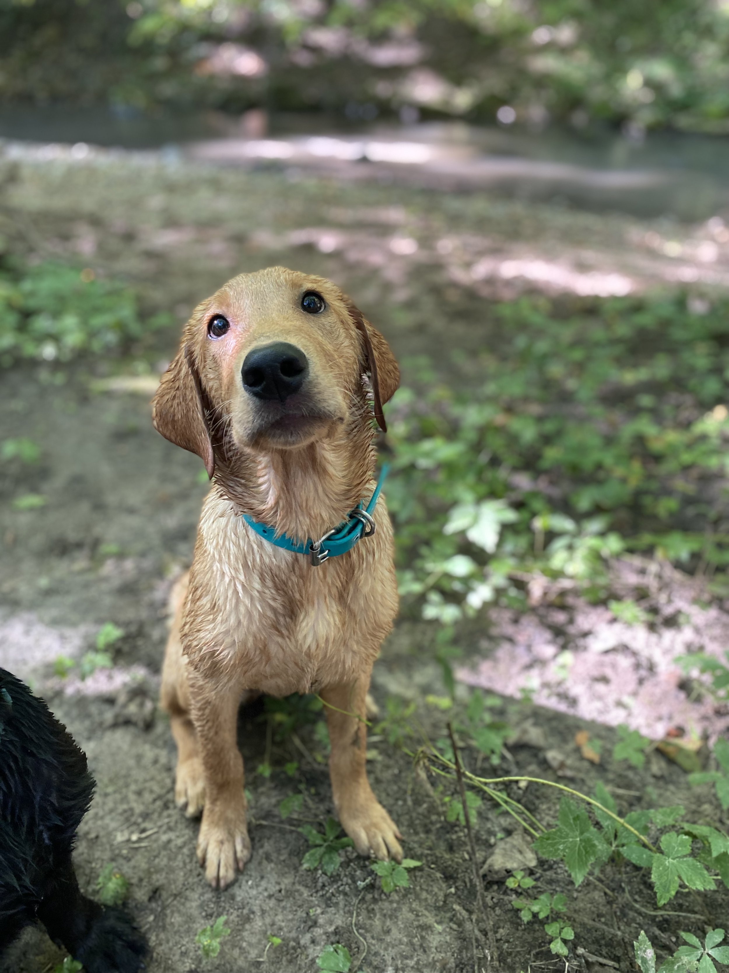 crash hiking.jpg