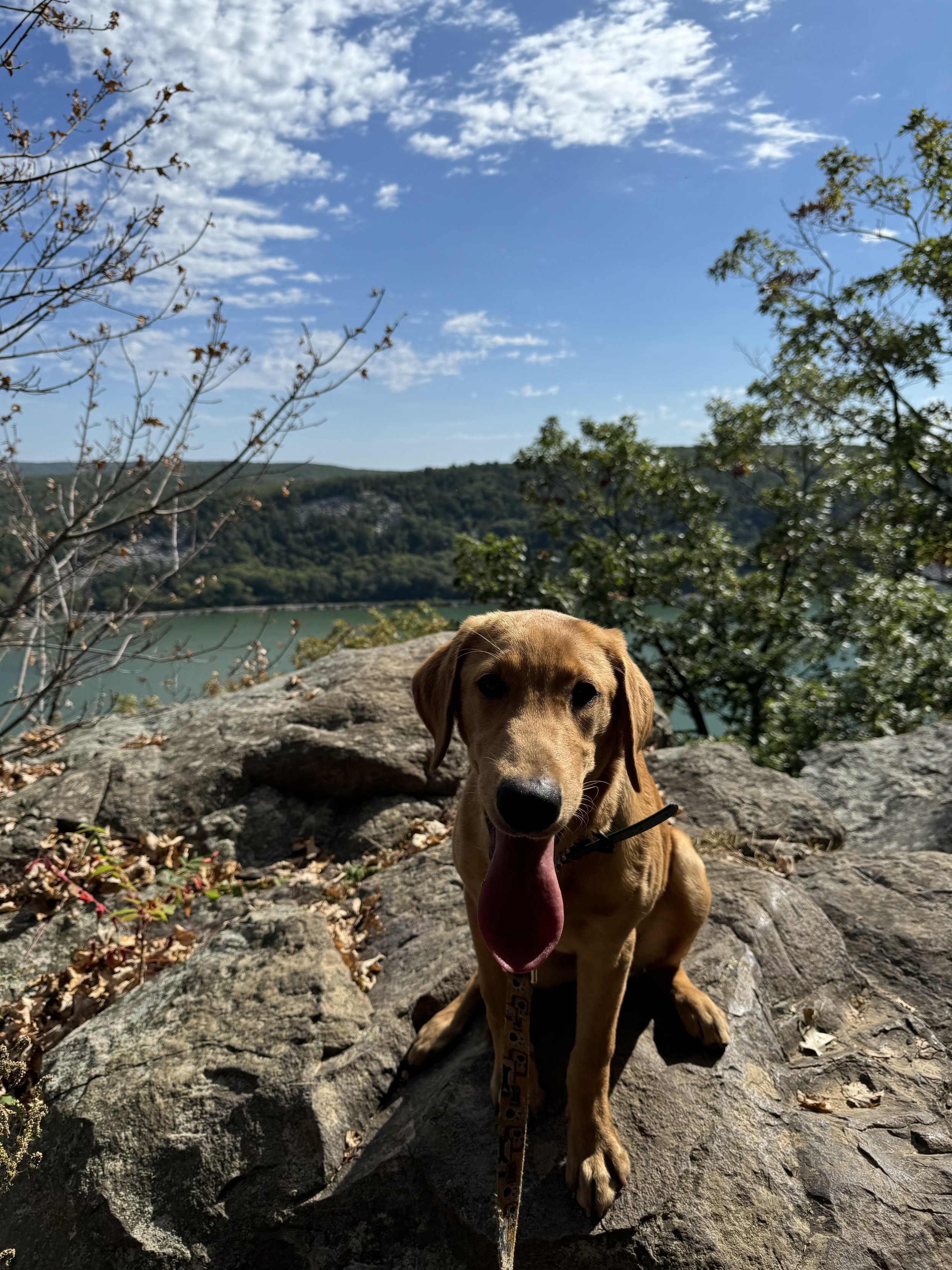 crash devils lake.jpg
