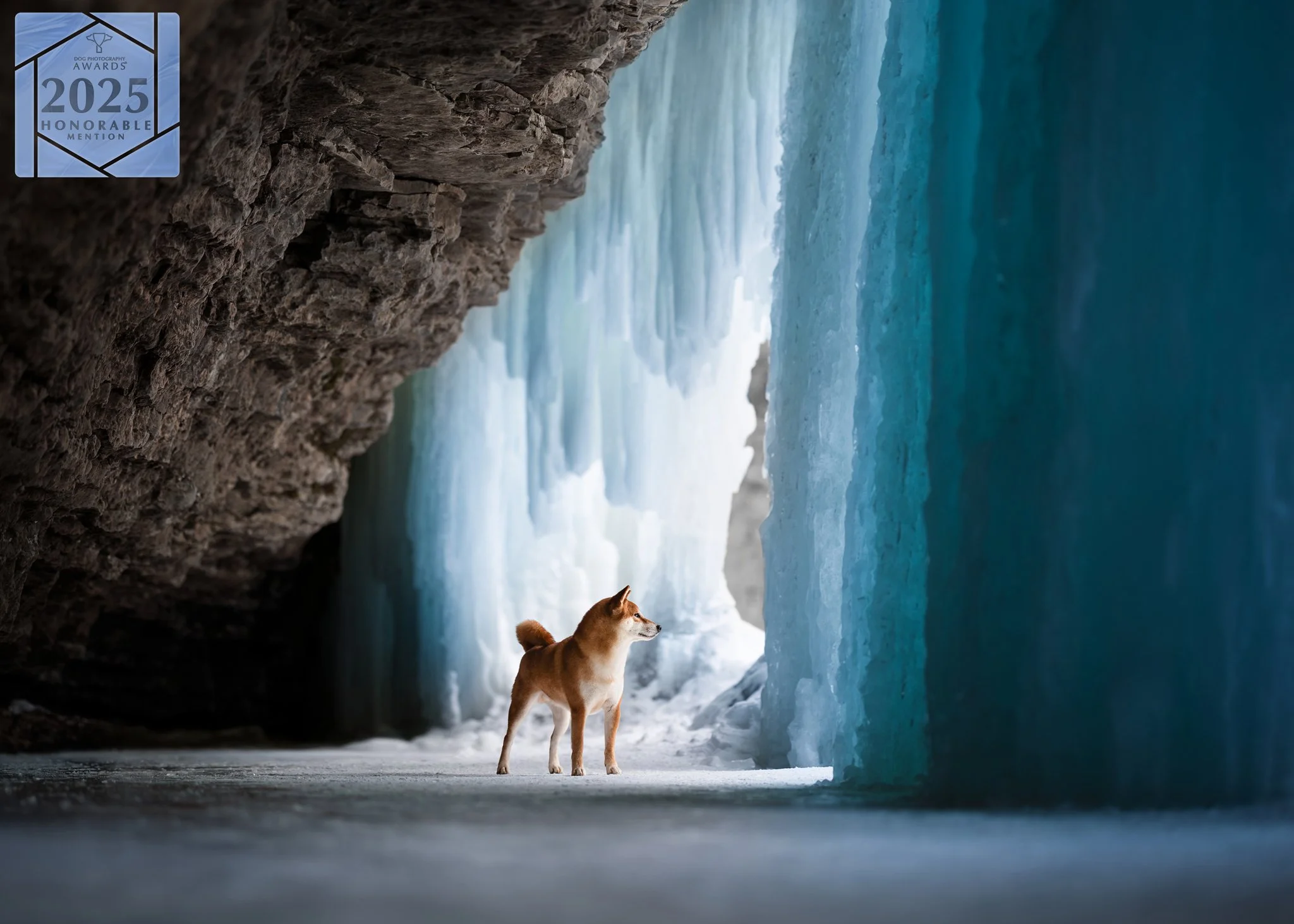 In the Heart of Winter