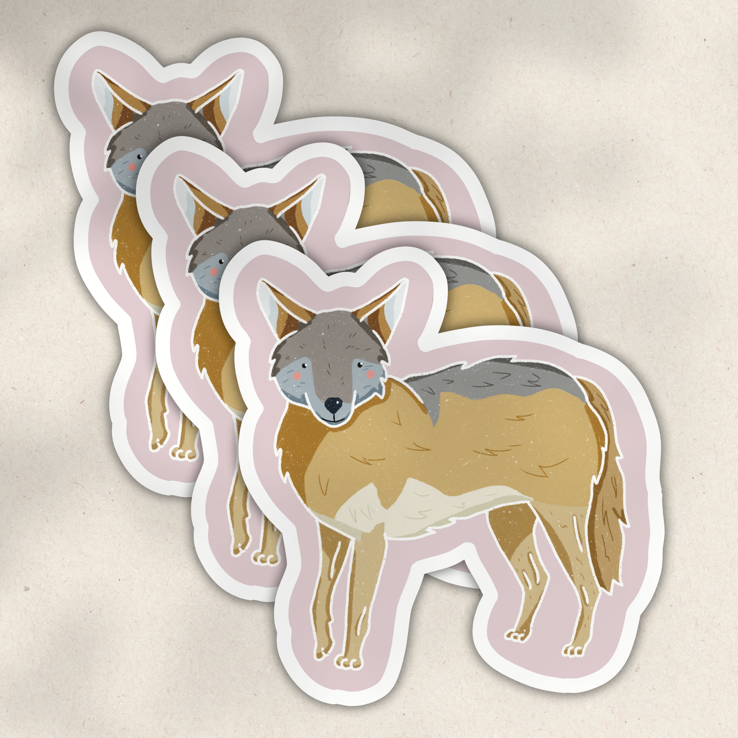 Coyote 3.png