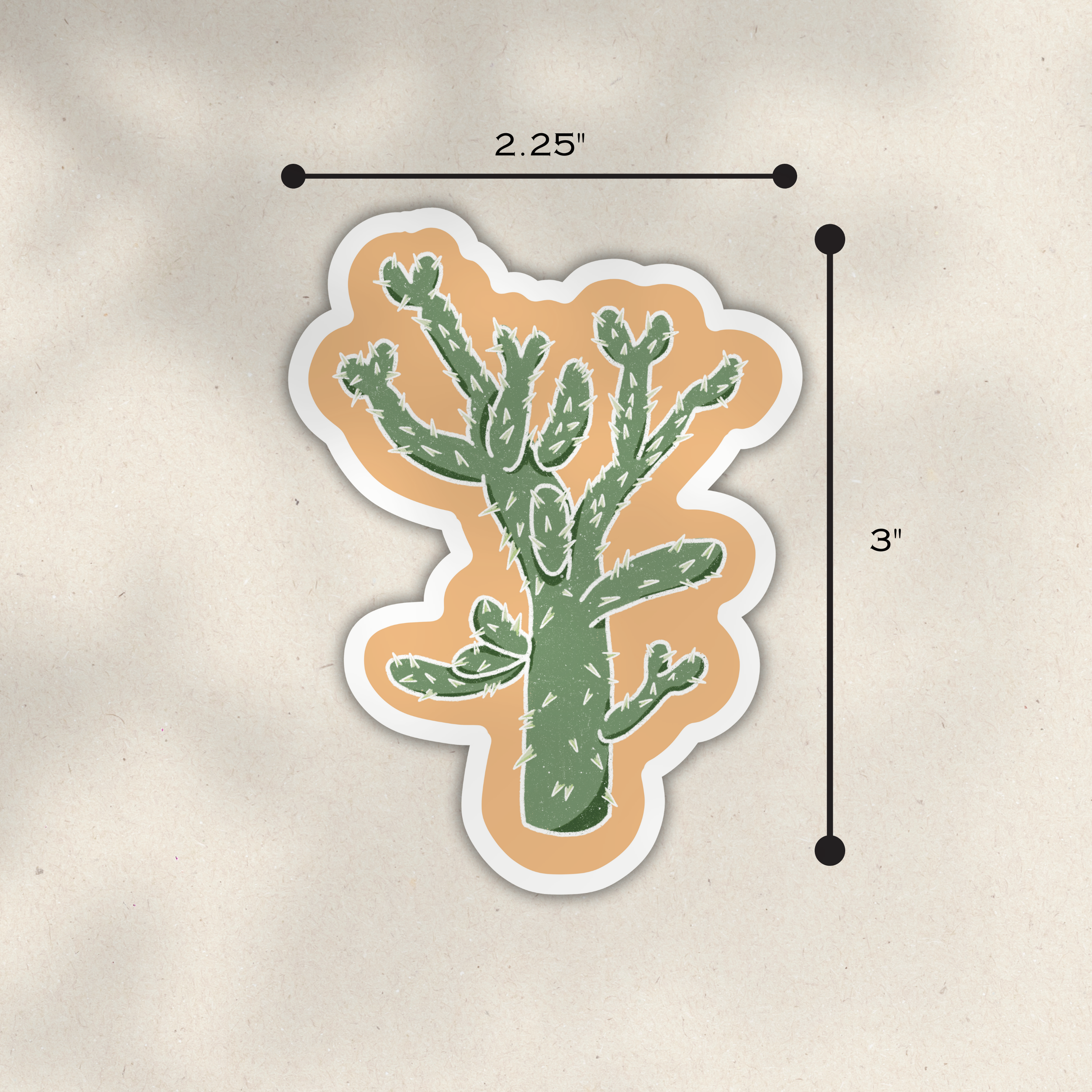 Cholla 2.png
